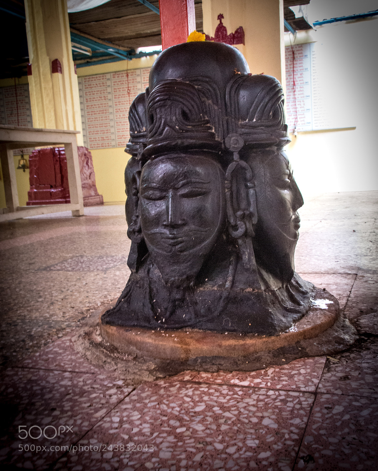 Nikon D800 sample photo. We have you covered photography