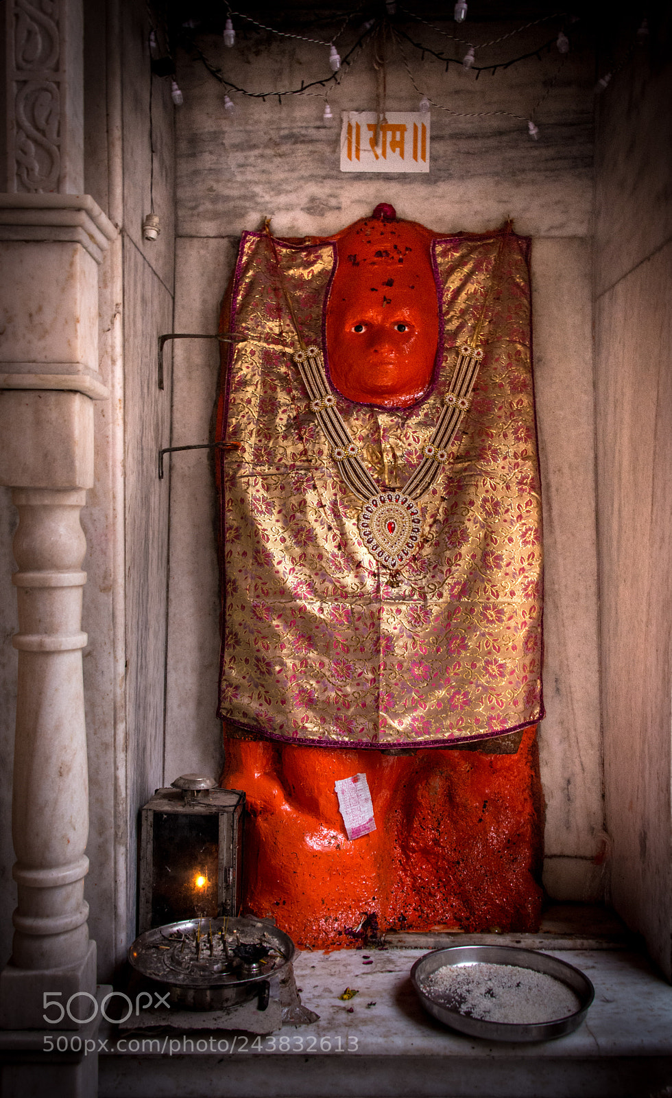 Nikon D800 sample photo. Feed me and i photography
