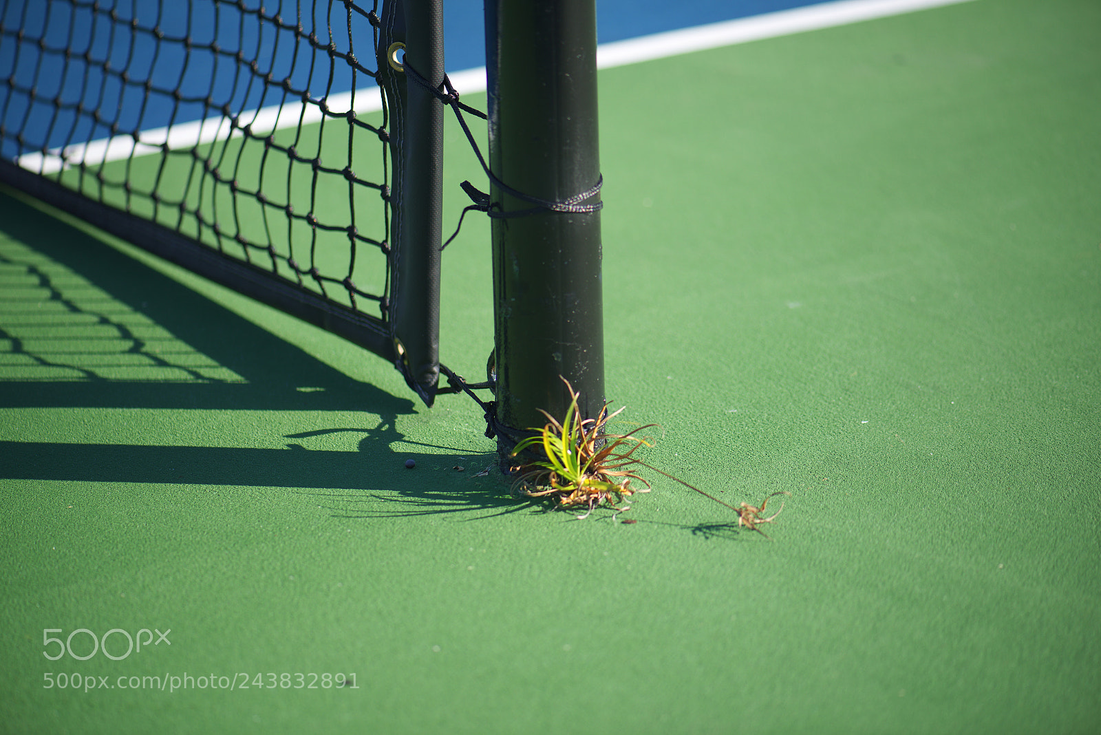 Nikon D810 sample photo. Tennis court photography