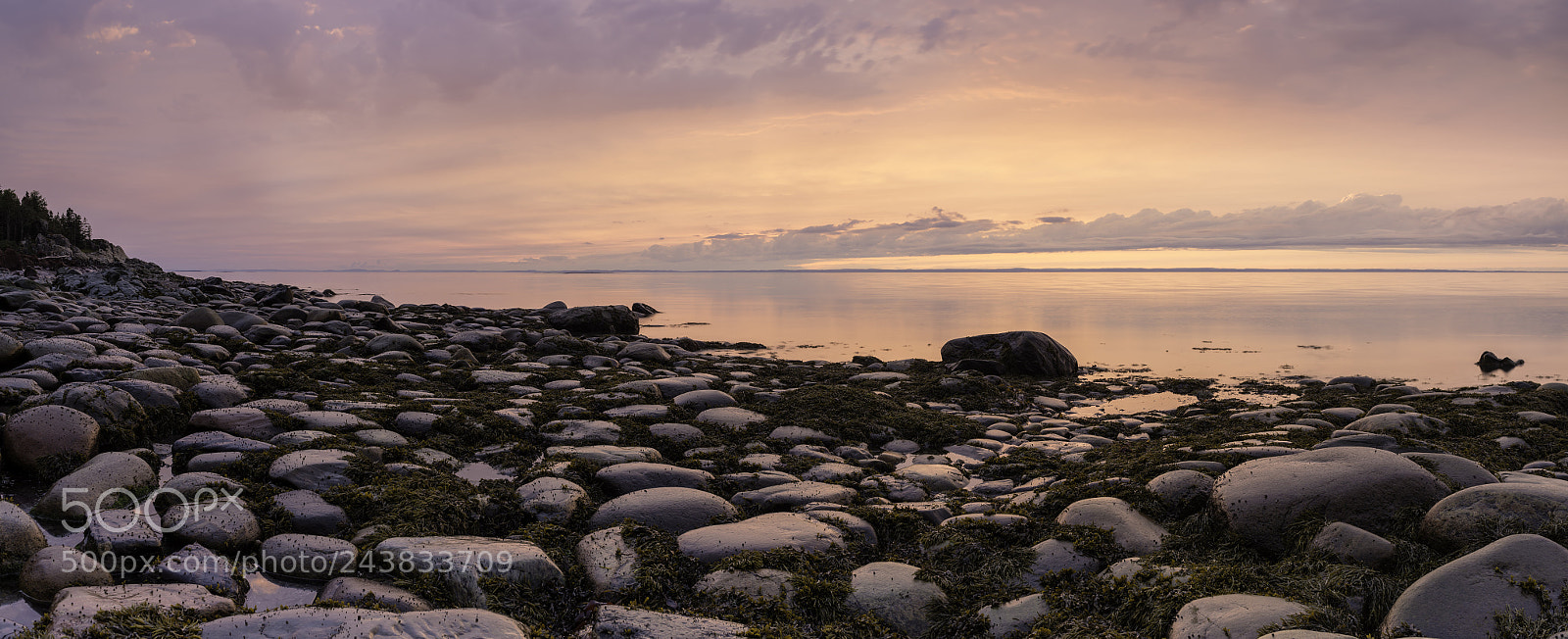 Nikon D800 sample photo. Peace along the shore photography