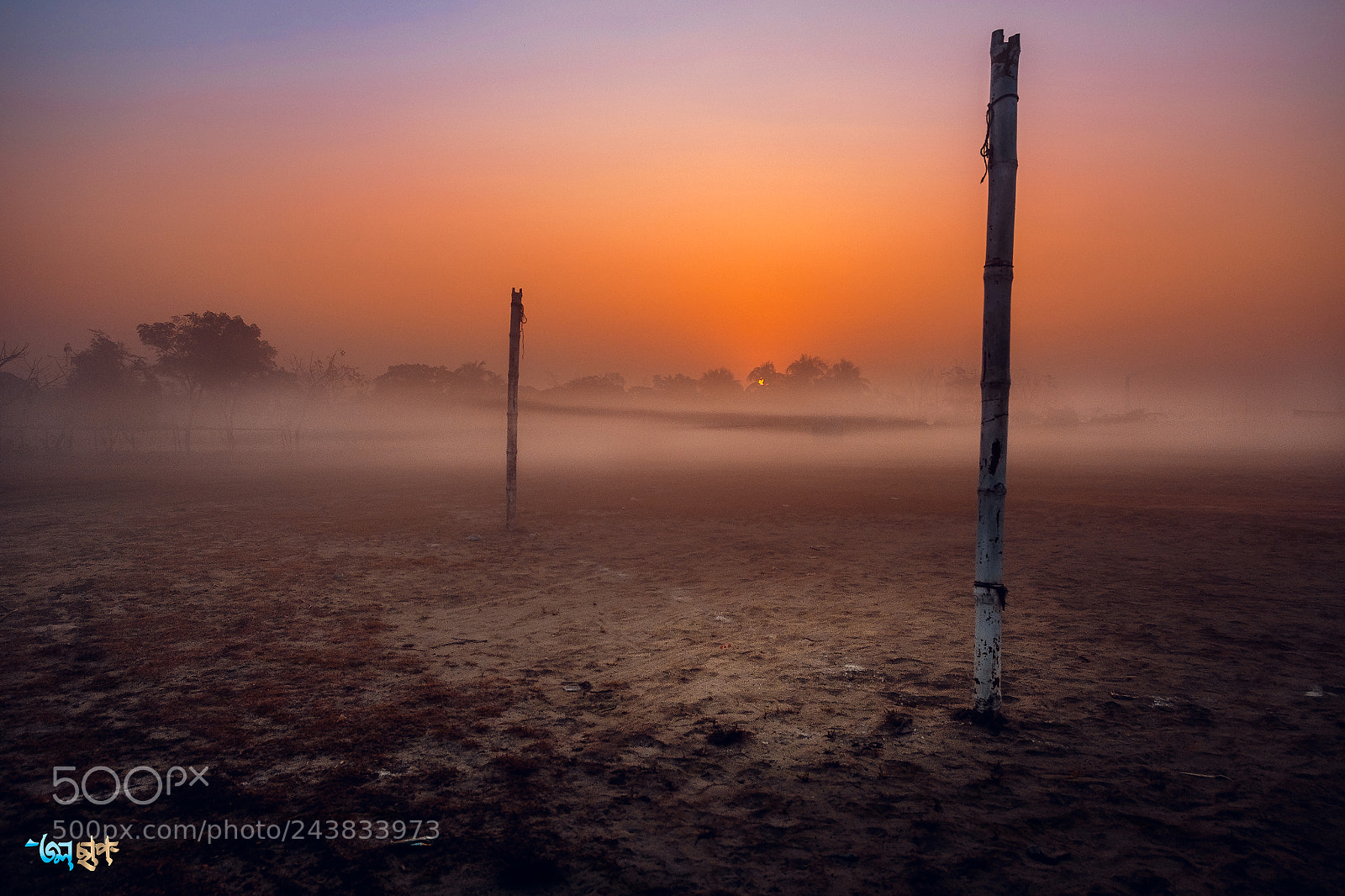 Fujifilm X-T10 sample photo. Fog filled field photography