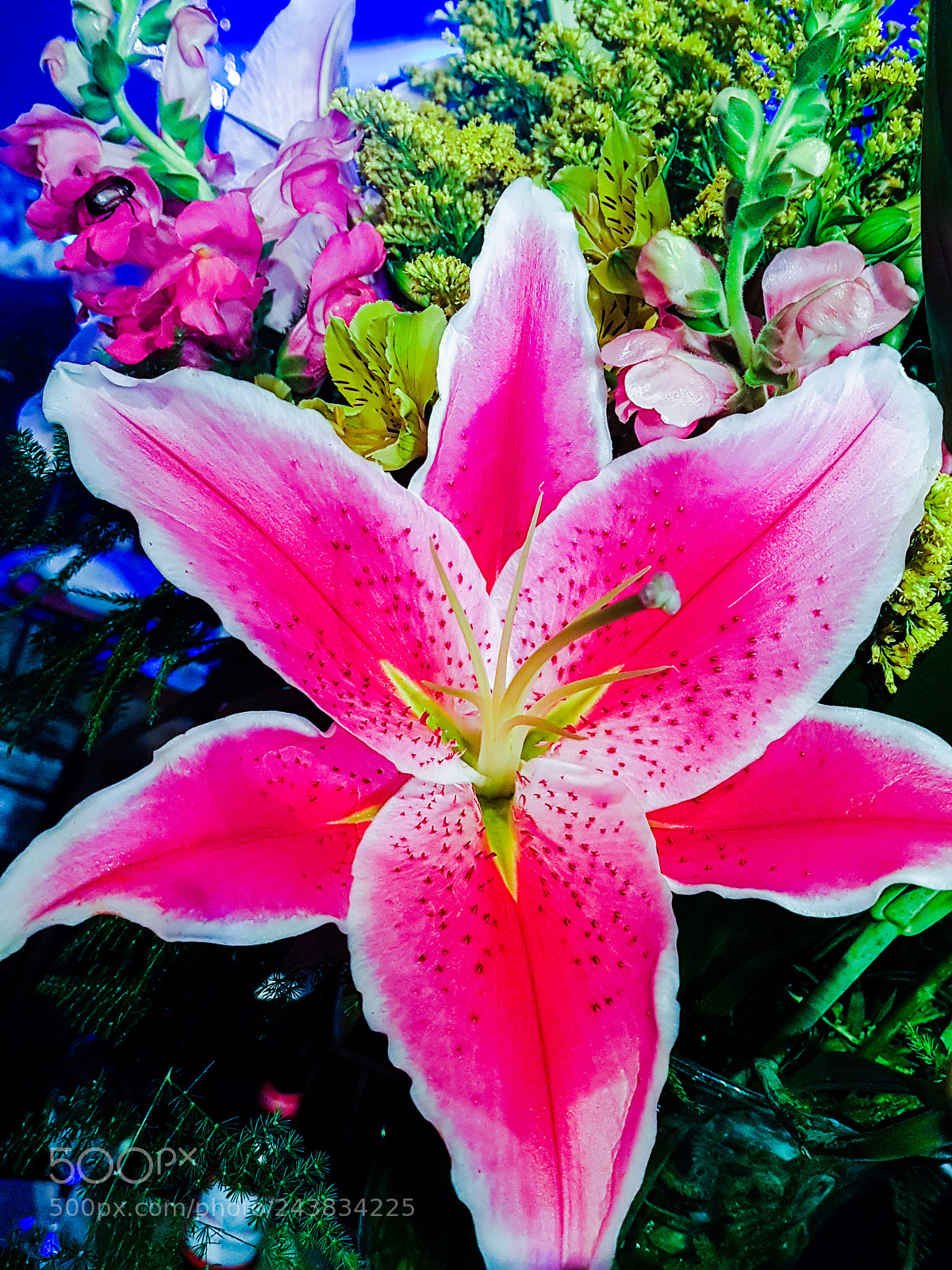 Samsung Galaxy S7 Edge sample photo. Flower photography