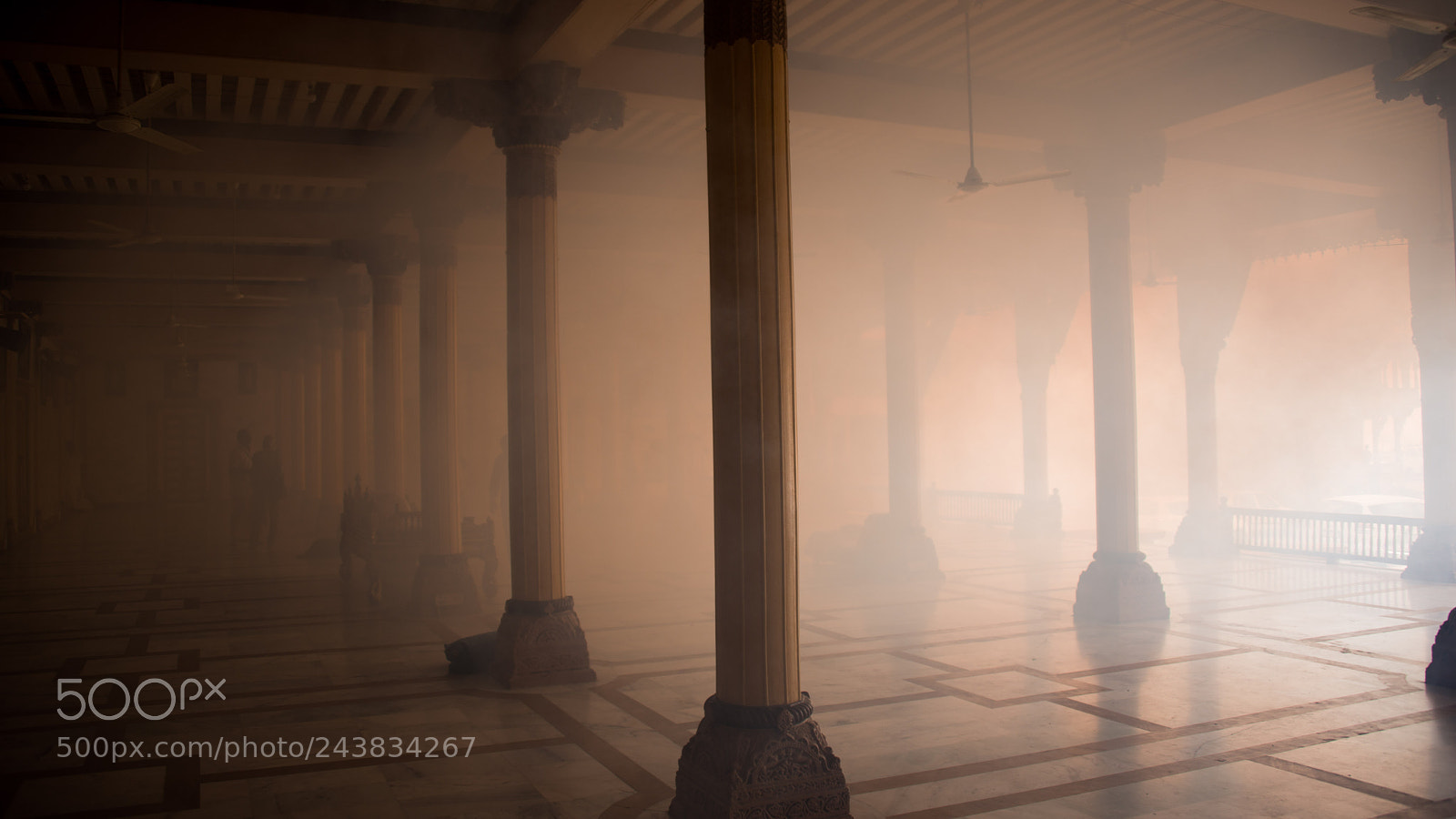 Nikon D800 sample photo. Fumigation day at the photography