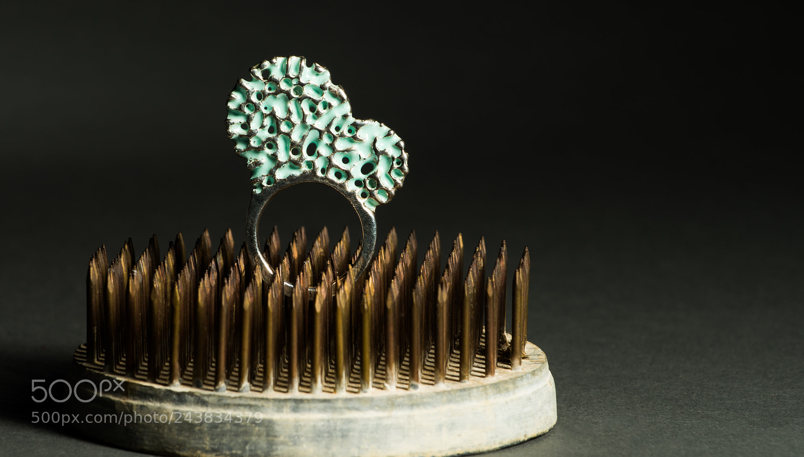 Nikon D810 sample photo. Rings photography