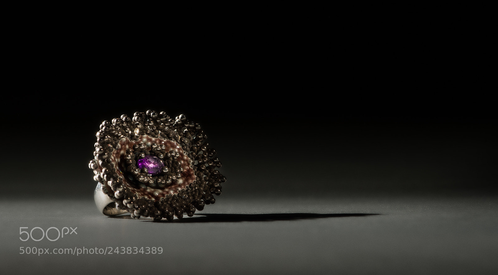 Nikon D810 sample photo. Rings photography