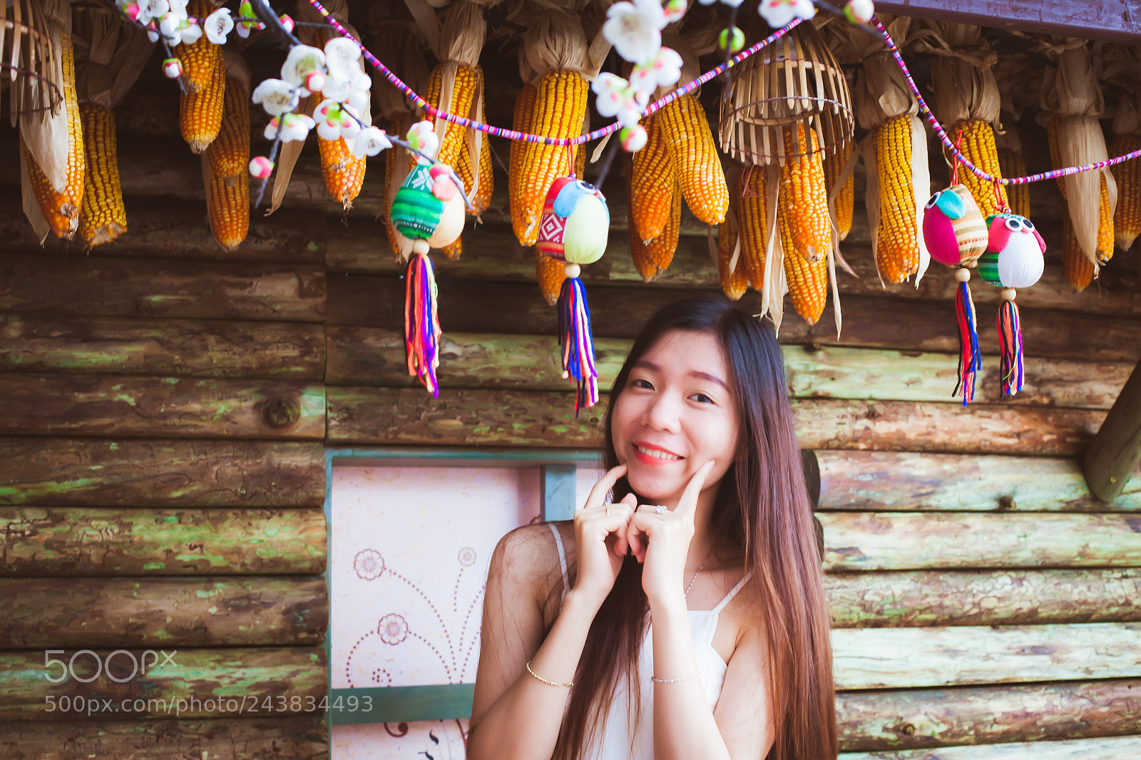 Canon EOS 5D sample photo. Wooden house in the photography