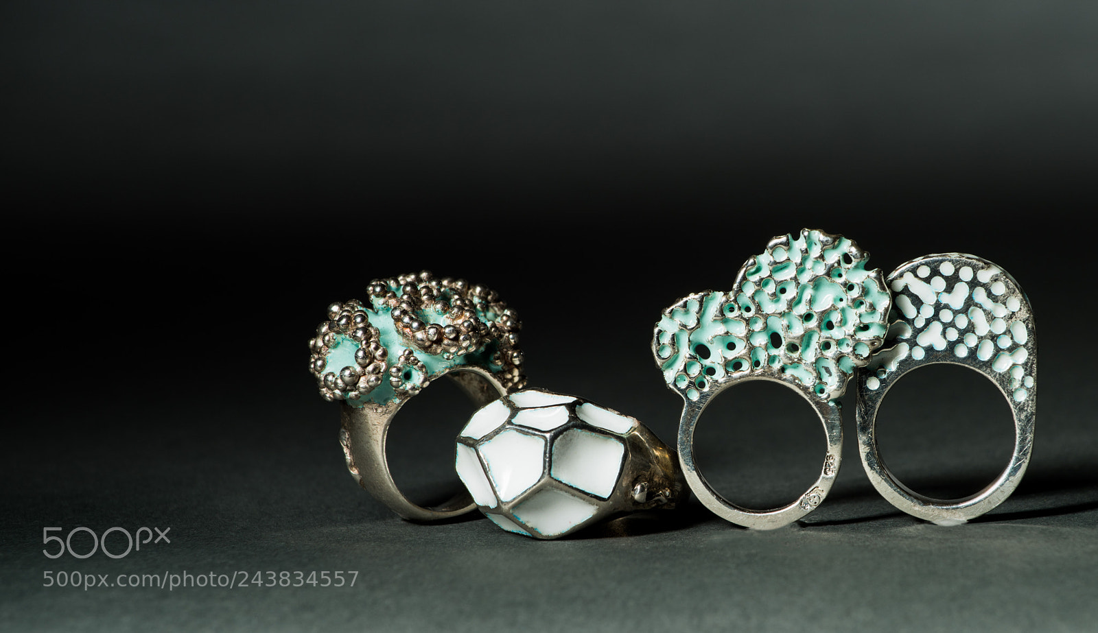 Nikon D810 sample photo. Rings photography