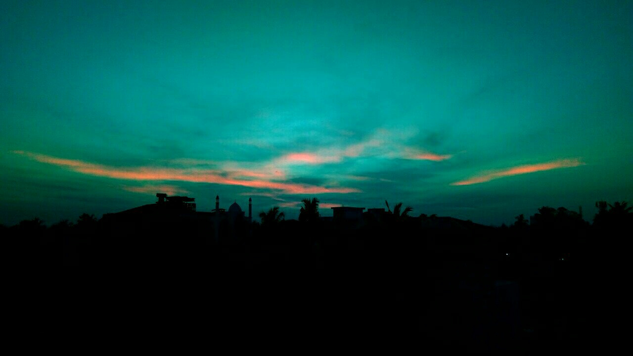 GIONEE F103 Pro sample photo. Green photography