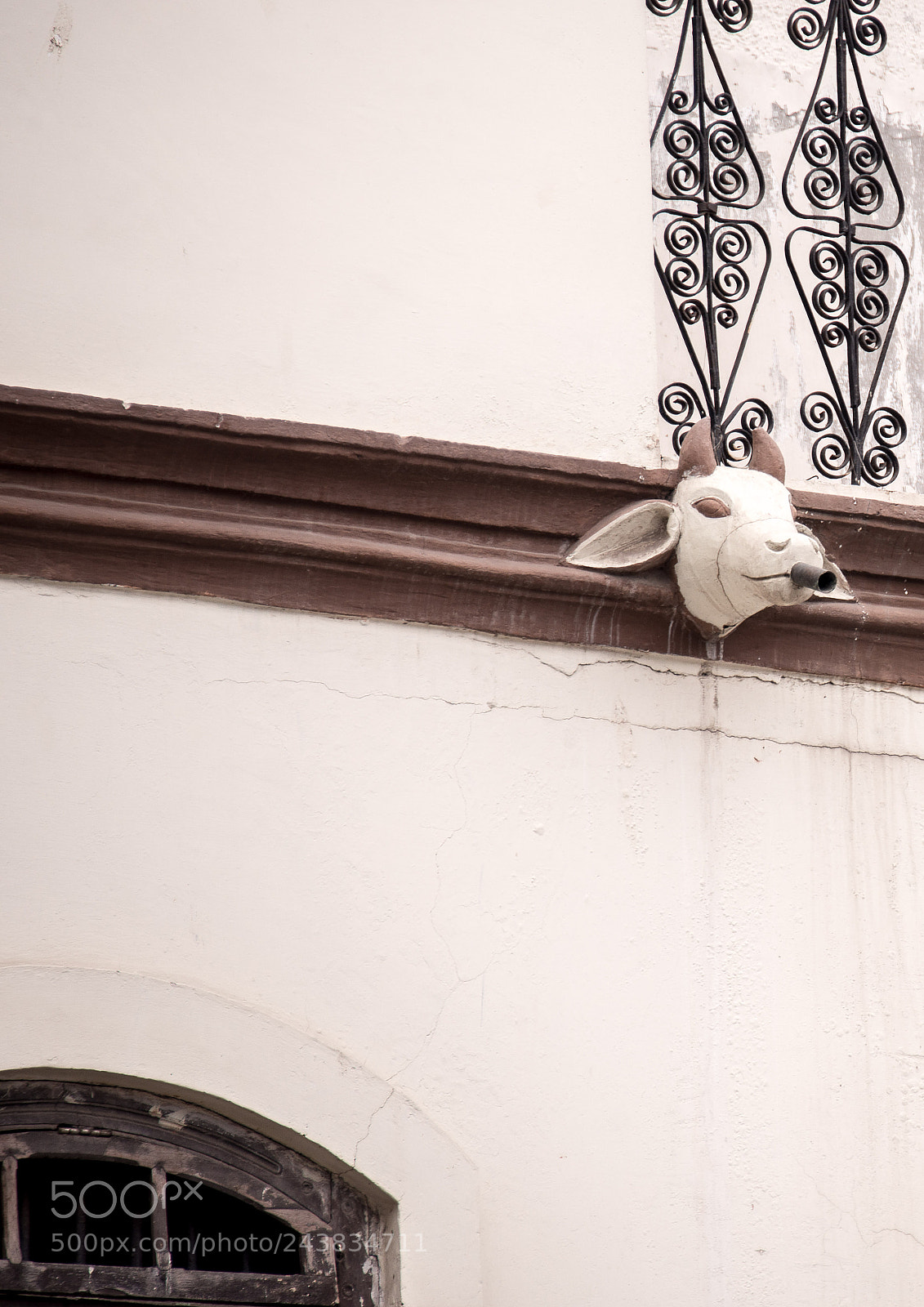 Nikon D800 sample photo. And why not photography