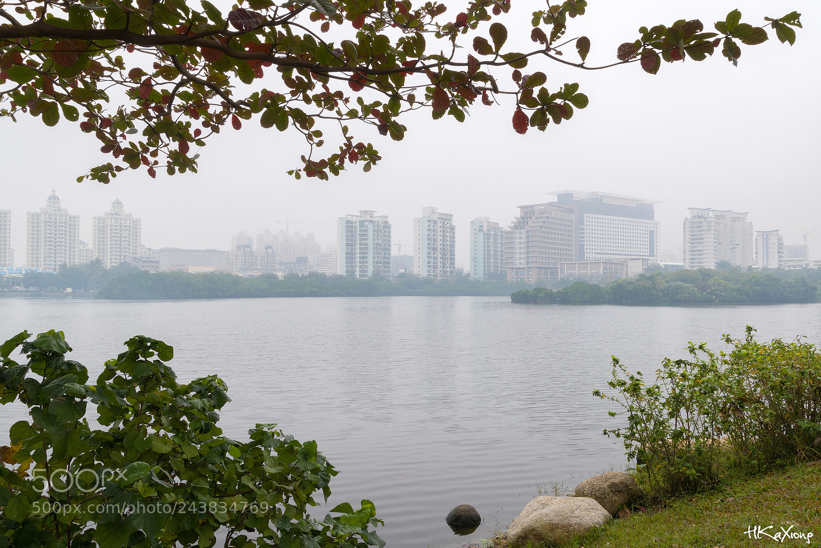 Canon EOS 7D Mark II sample photo. Fog scene photography