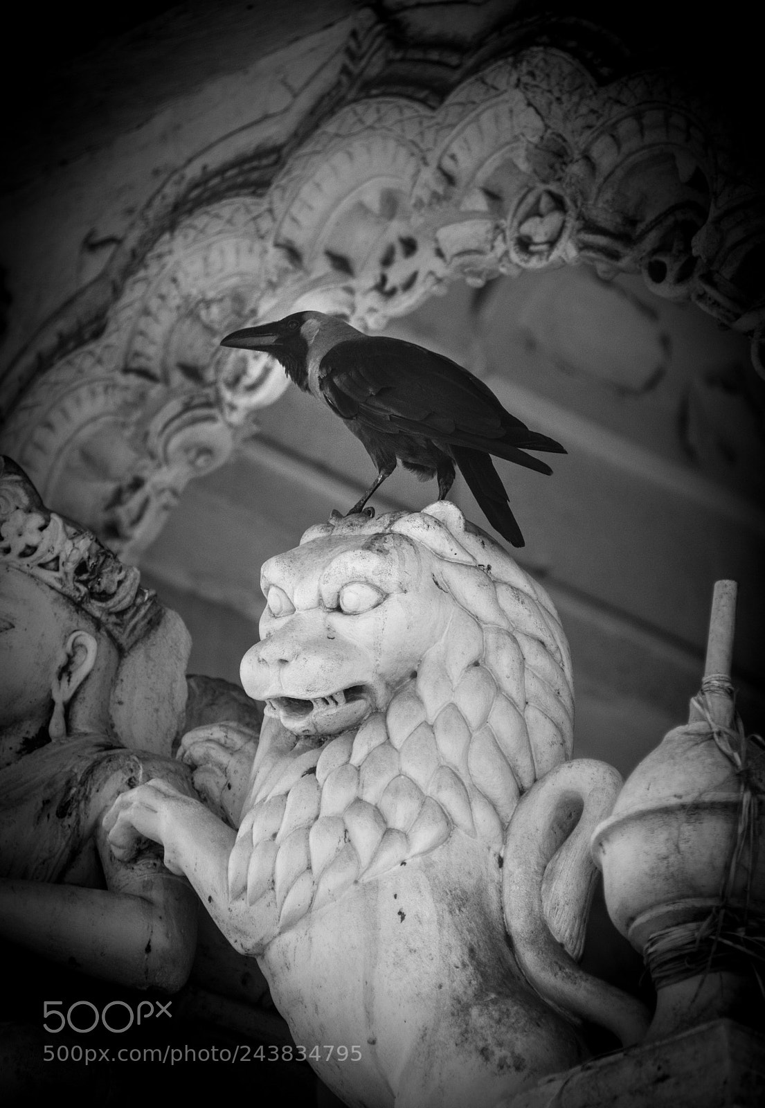Nikon D800 sample photo. It's a sign photography
