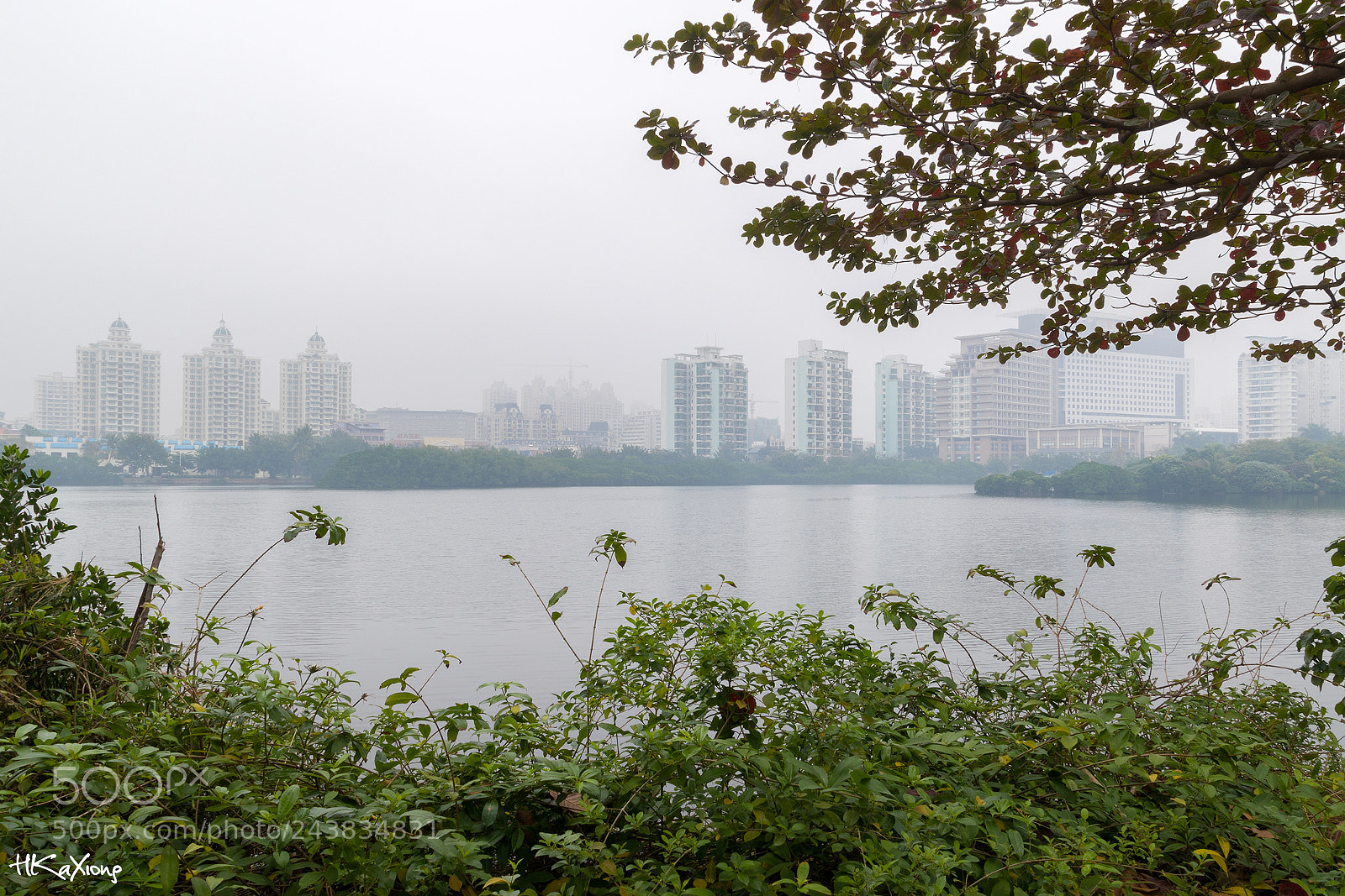 Canon EOS 7D Mark II sample photo. Fog scene photography