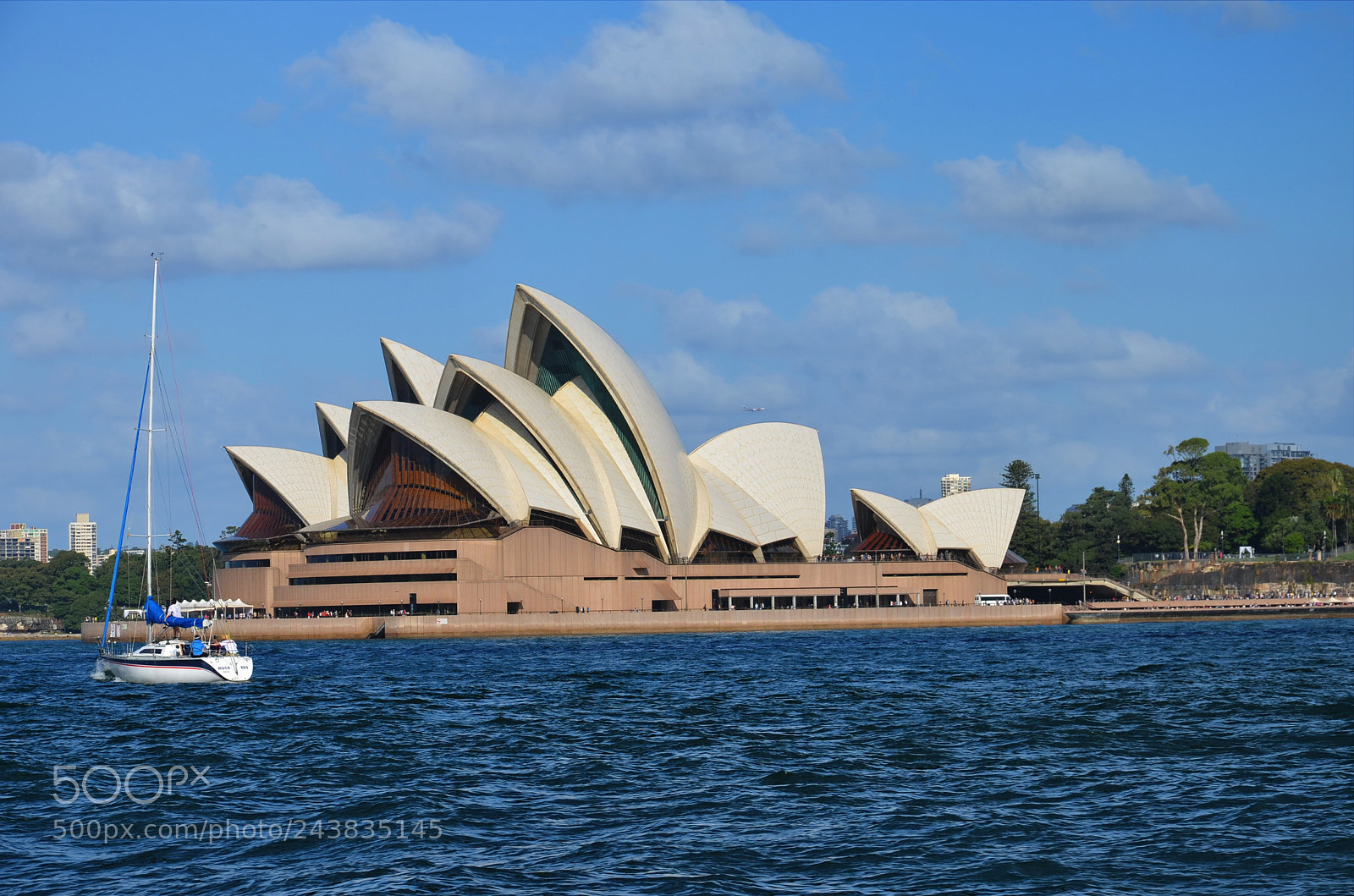 Nikon D5100 sample photo. Trip to sydney zoo photography
