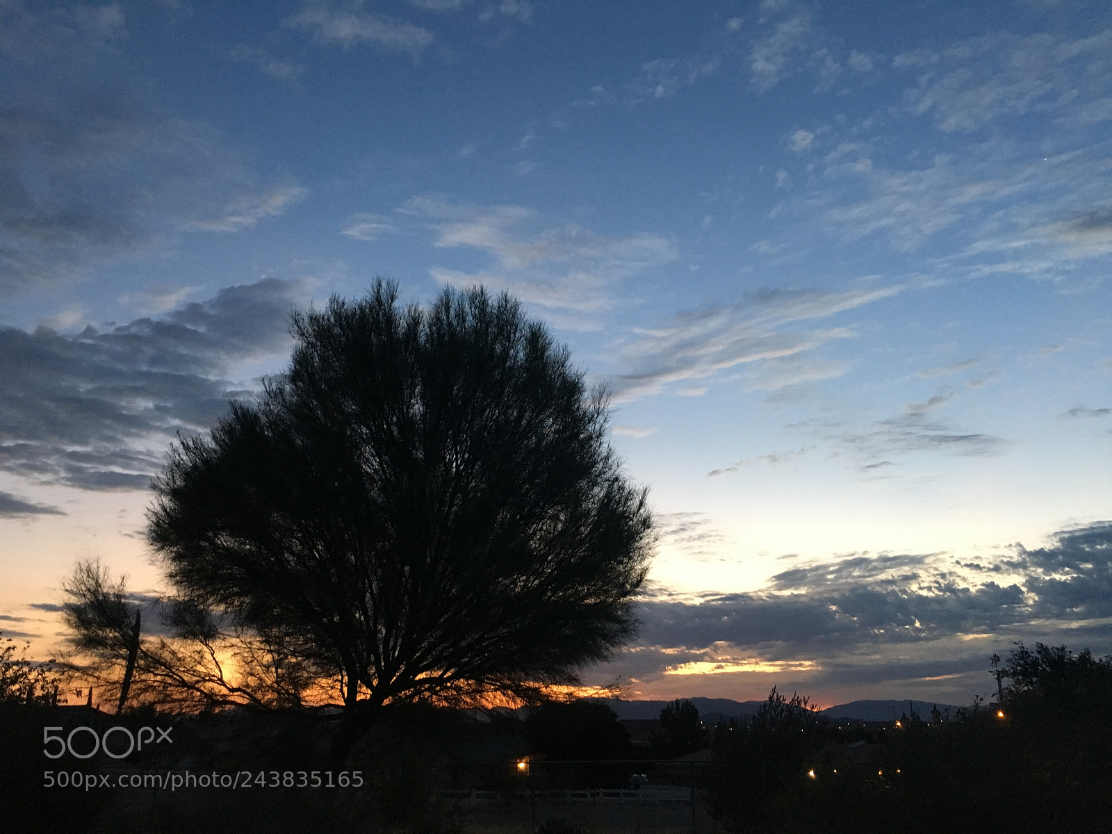 Apple iPhone 6s sample photo. Untitled photography