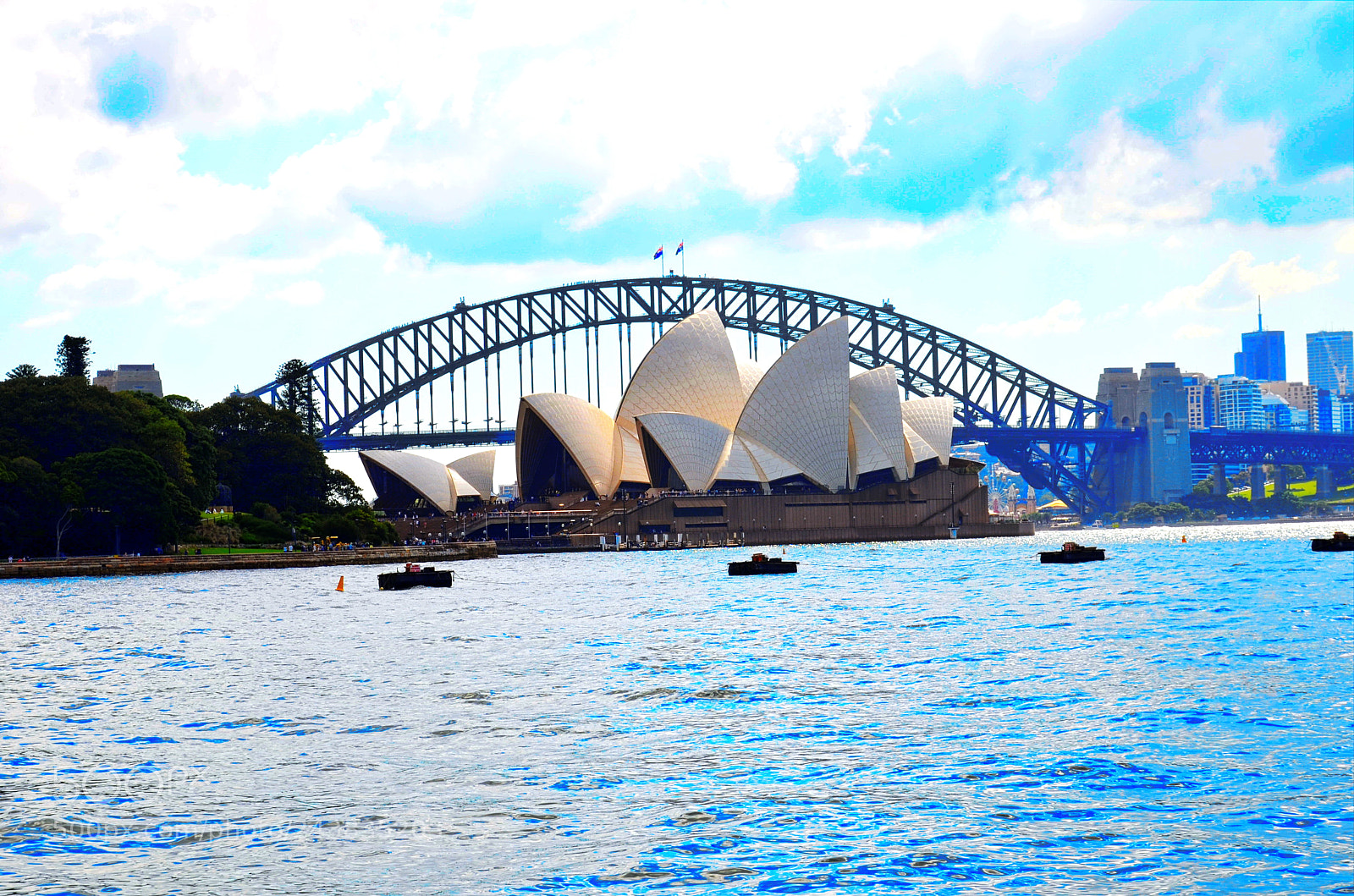 Nikon D5100 sample photo. Trip to sydney zoo photography
