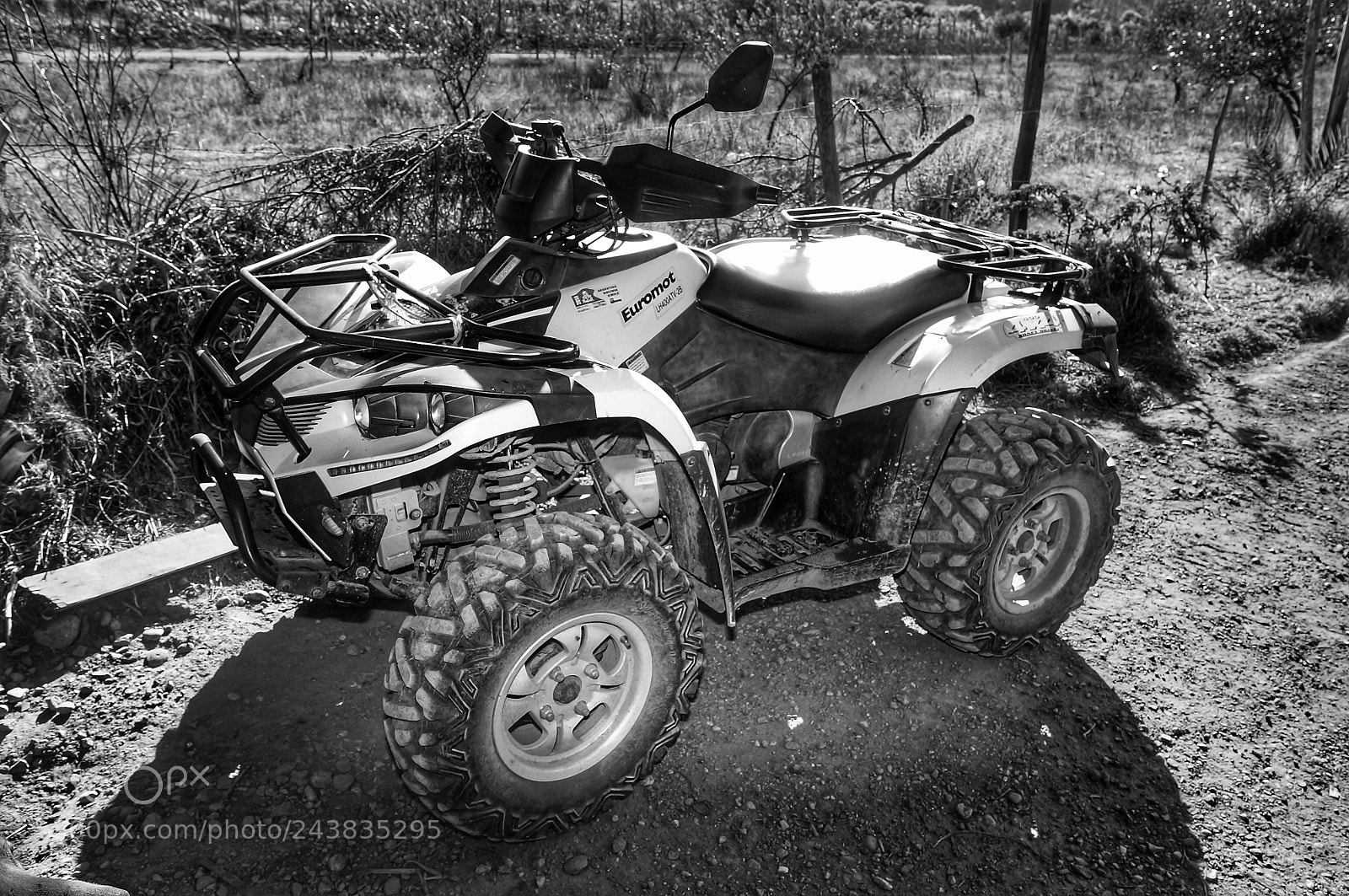 Sony SLT-A37 sample photo. Untitled photography