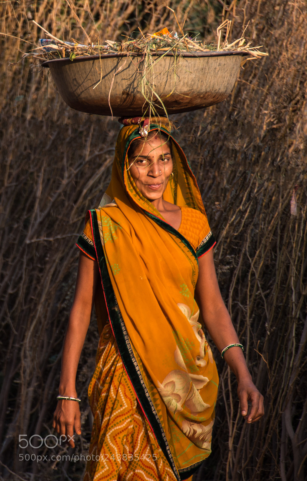 Nikon D800 sample photo. The beautiful ladies of photography