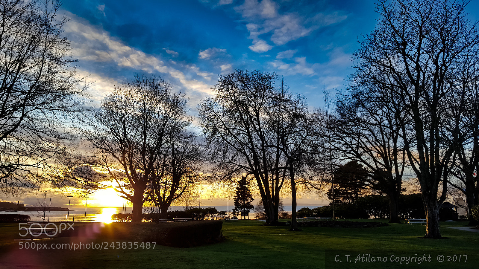 Samsung GALAXY S6 edge sample photo. Peace arch park photography