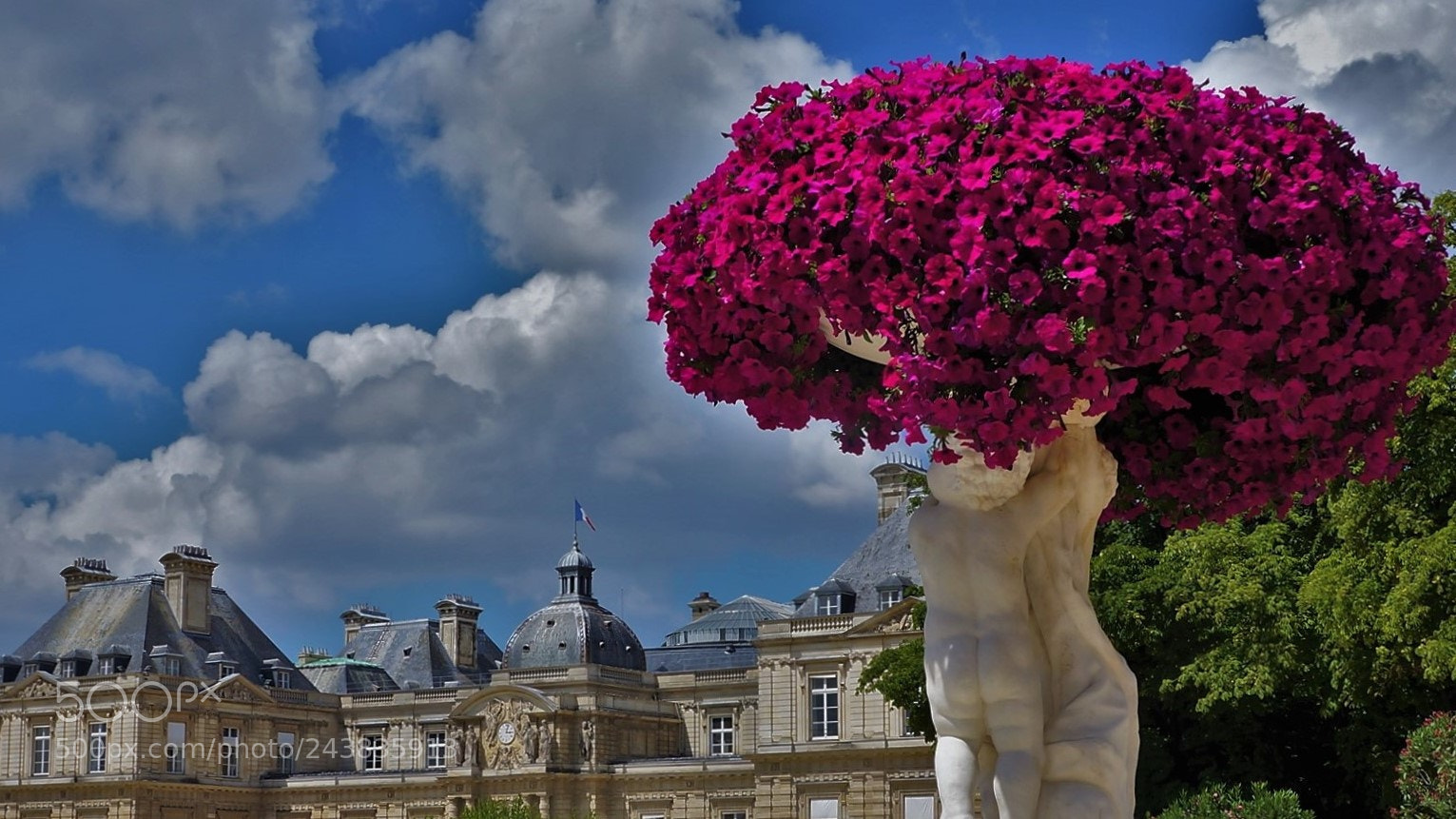 Sony Alpha NEX-5N sample photo. Jardin du luxembourg, paris photography