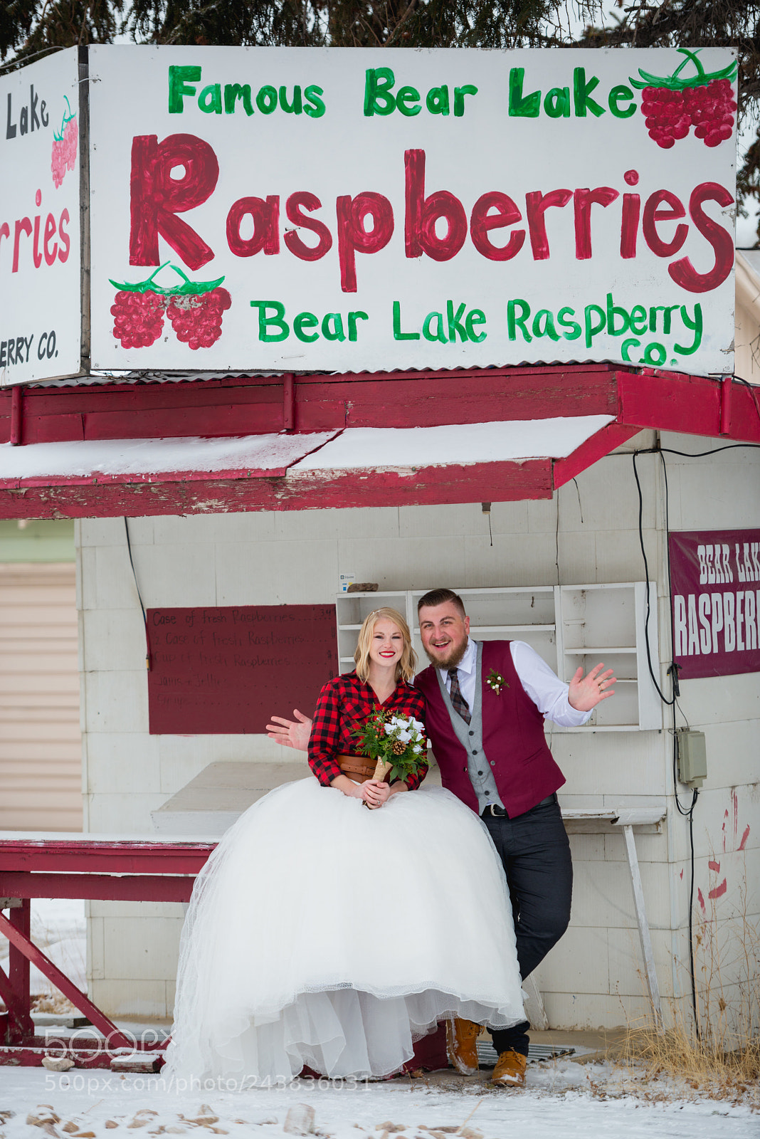 Nikon D800 sample photo. Bear lake raspberries photography