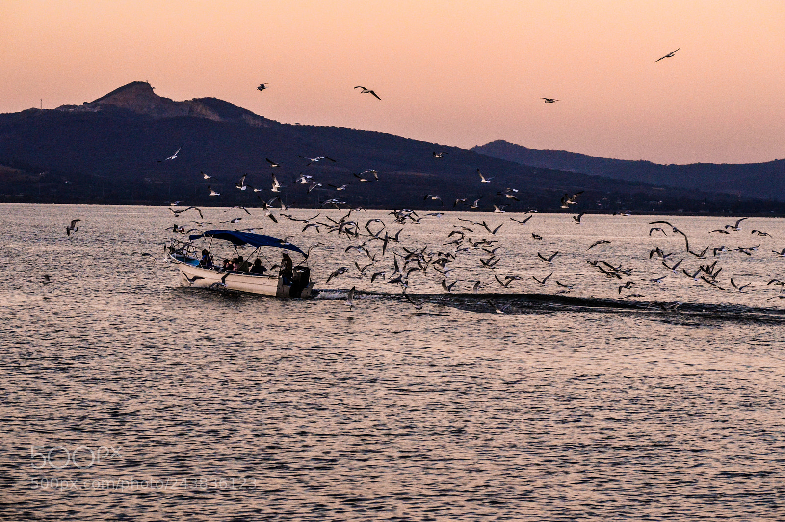 Nikon D3200 sample photo. Lake chapala.. photography