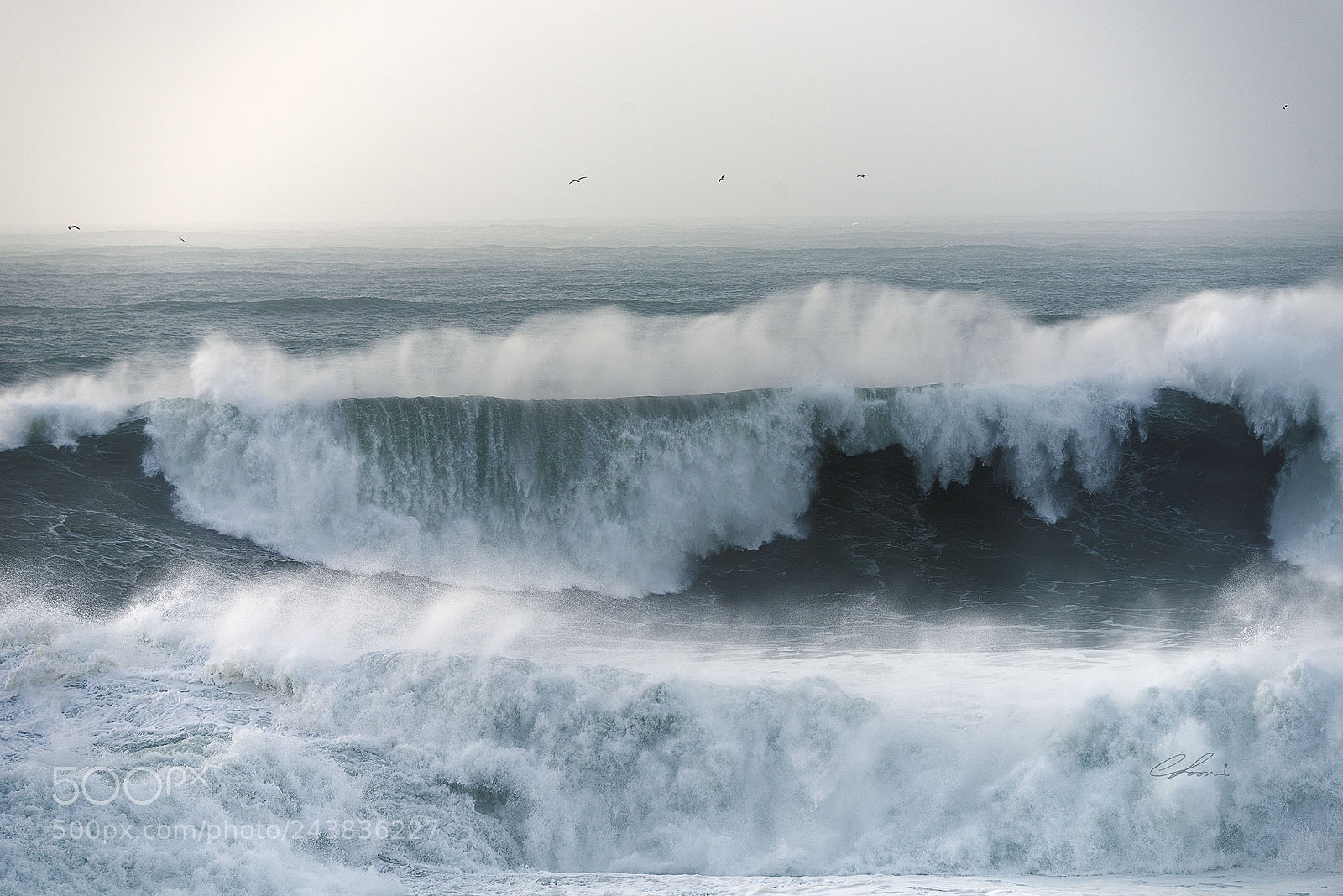 Nikon D810 sample photo. Heavy water photography