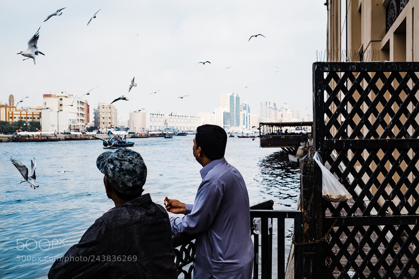 Fujifilm X-T2 sample photo. Feeding the seagulls photography
