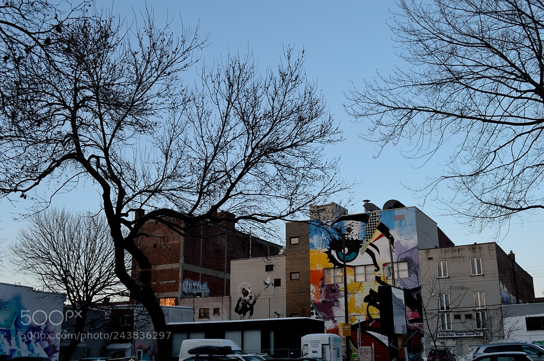 Nikon D3200 sample photo. Untitled photography