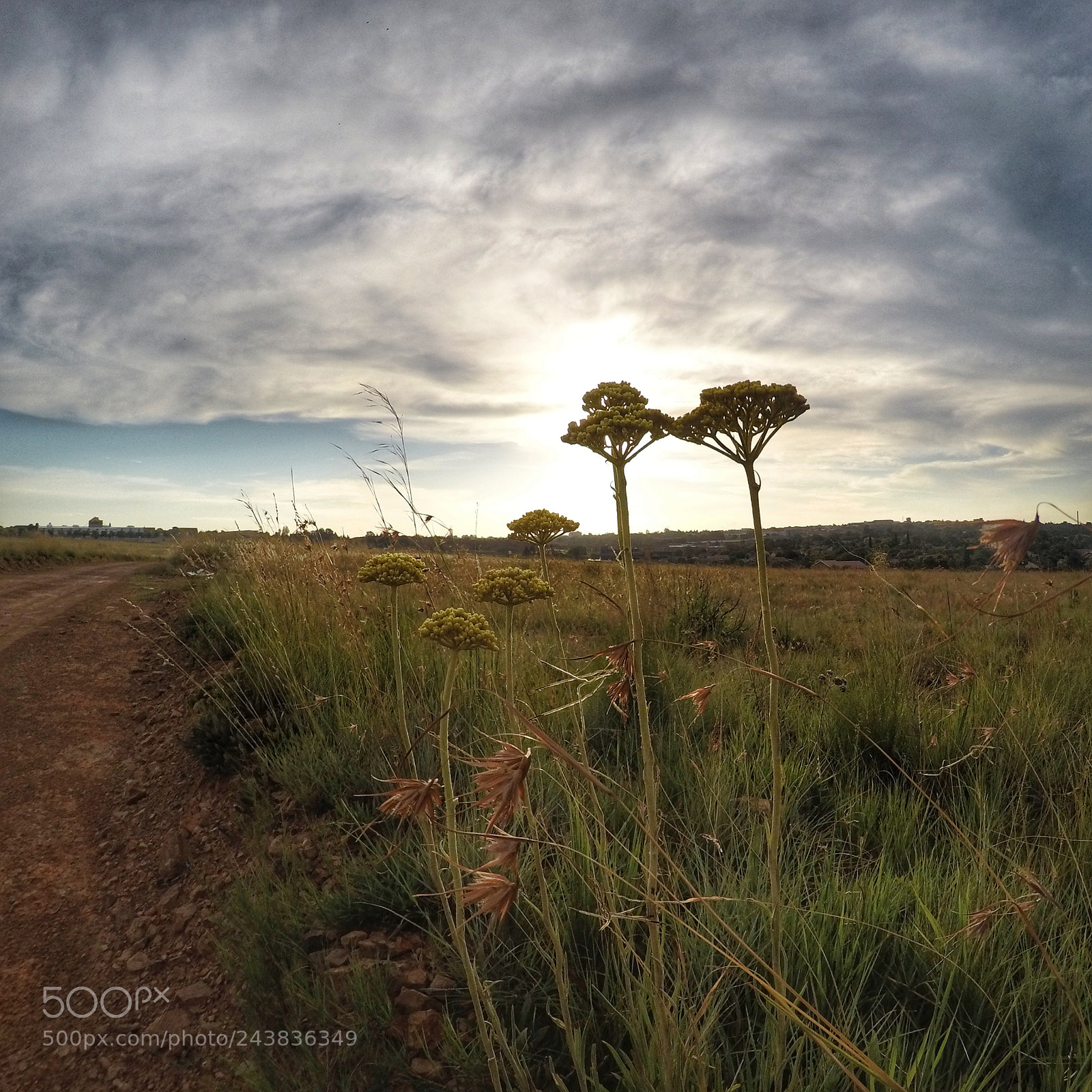 GoPro HERO4 Silver sample photo. Witbankwalk1 photography