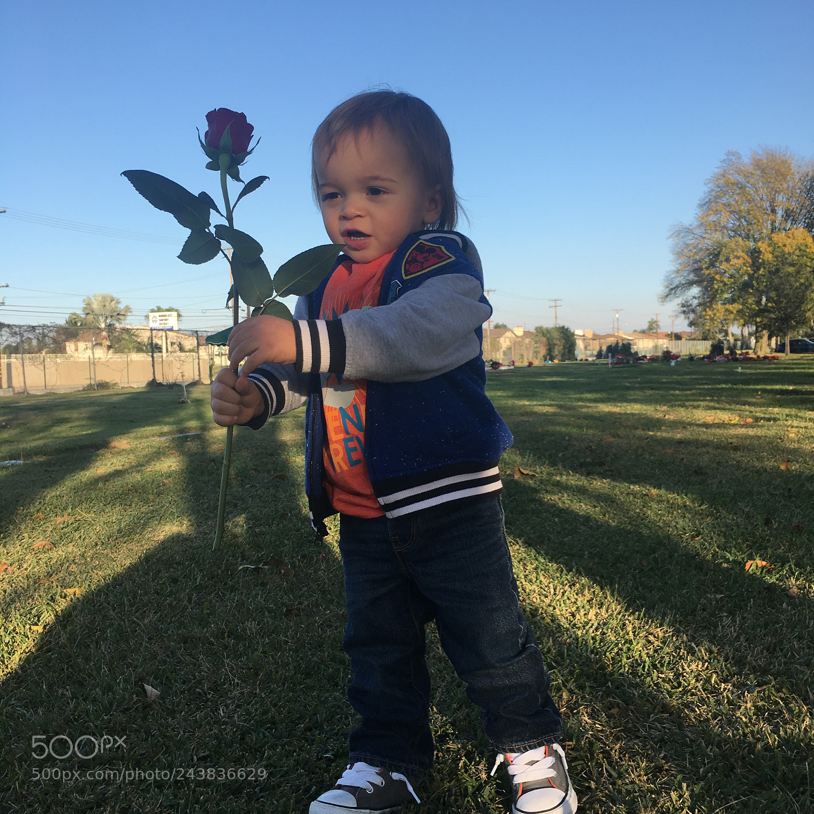 Apple iPhone 6s Plus sample photo. Untitled photography