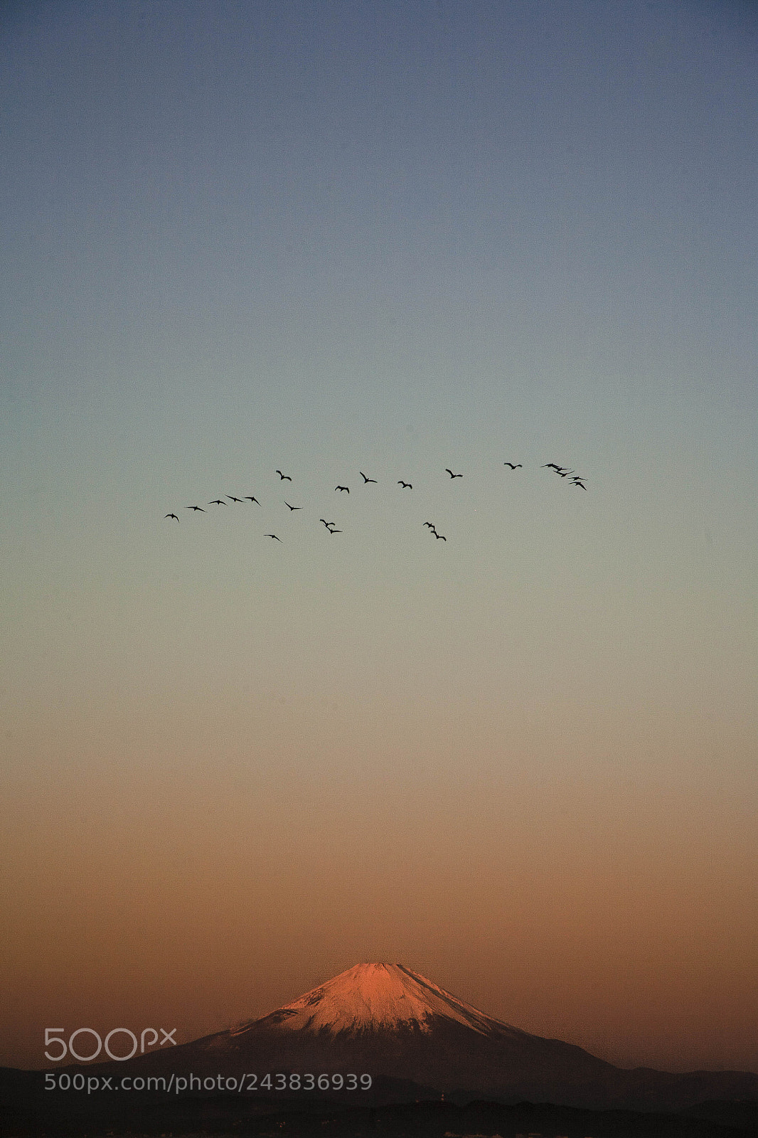 Canon EOS 5D sample photo. Pinky morning photography