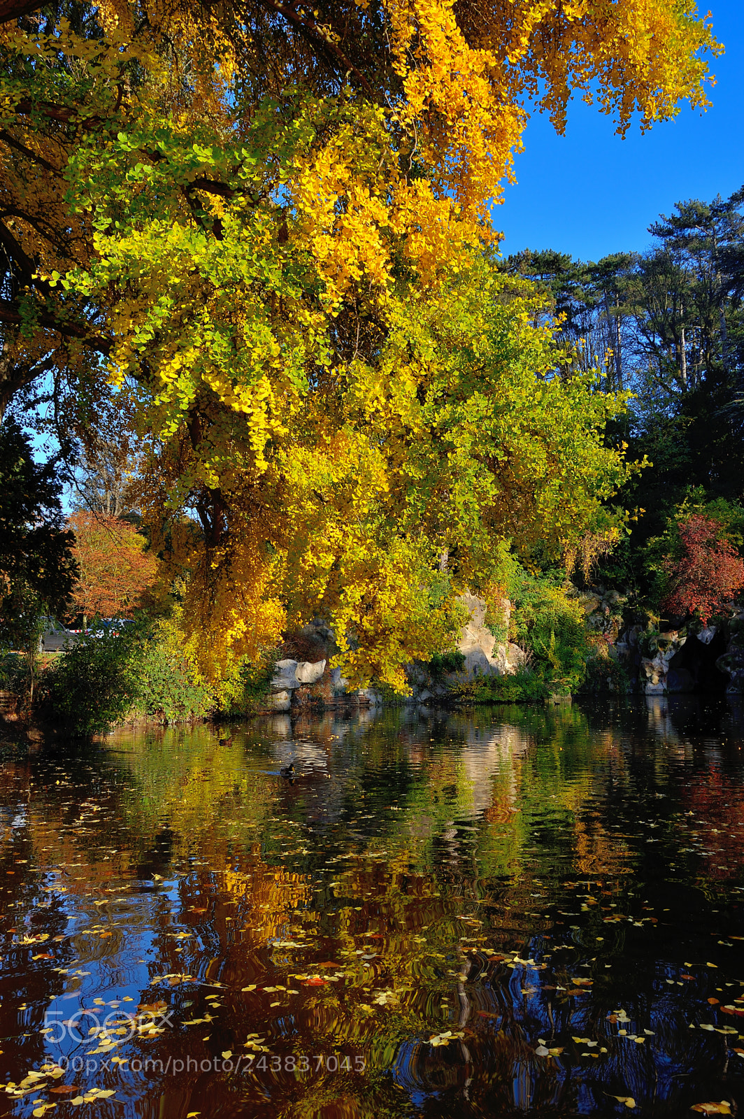 Nikon D3200 sample photo. Autumn photography