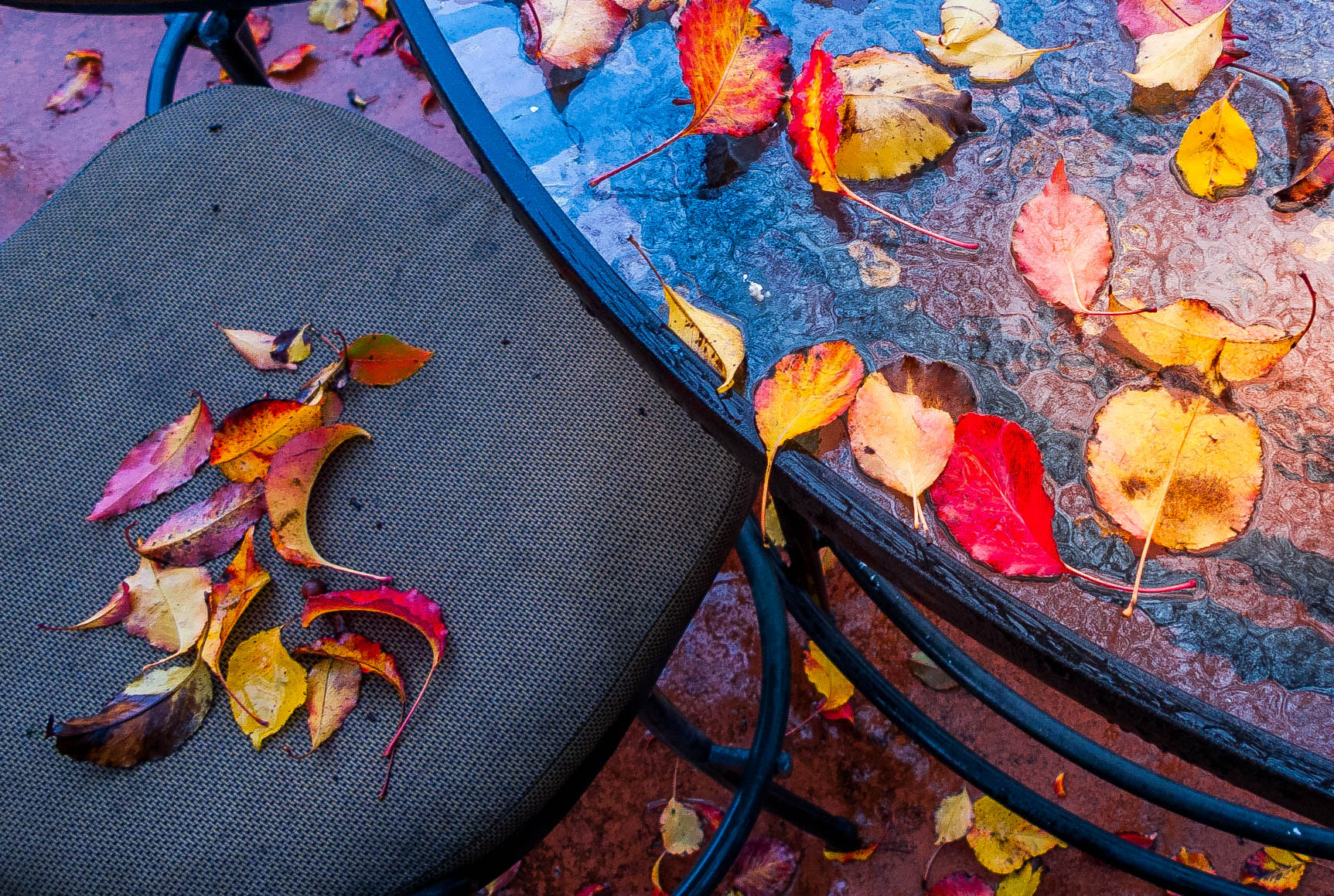 Leica D-LUX 4 sample photo. On a rainy autumn day photography