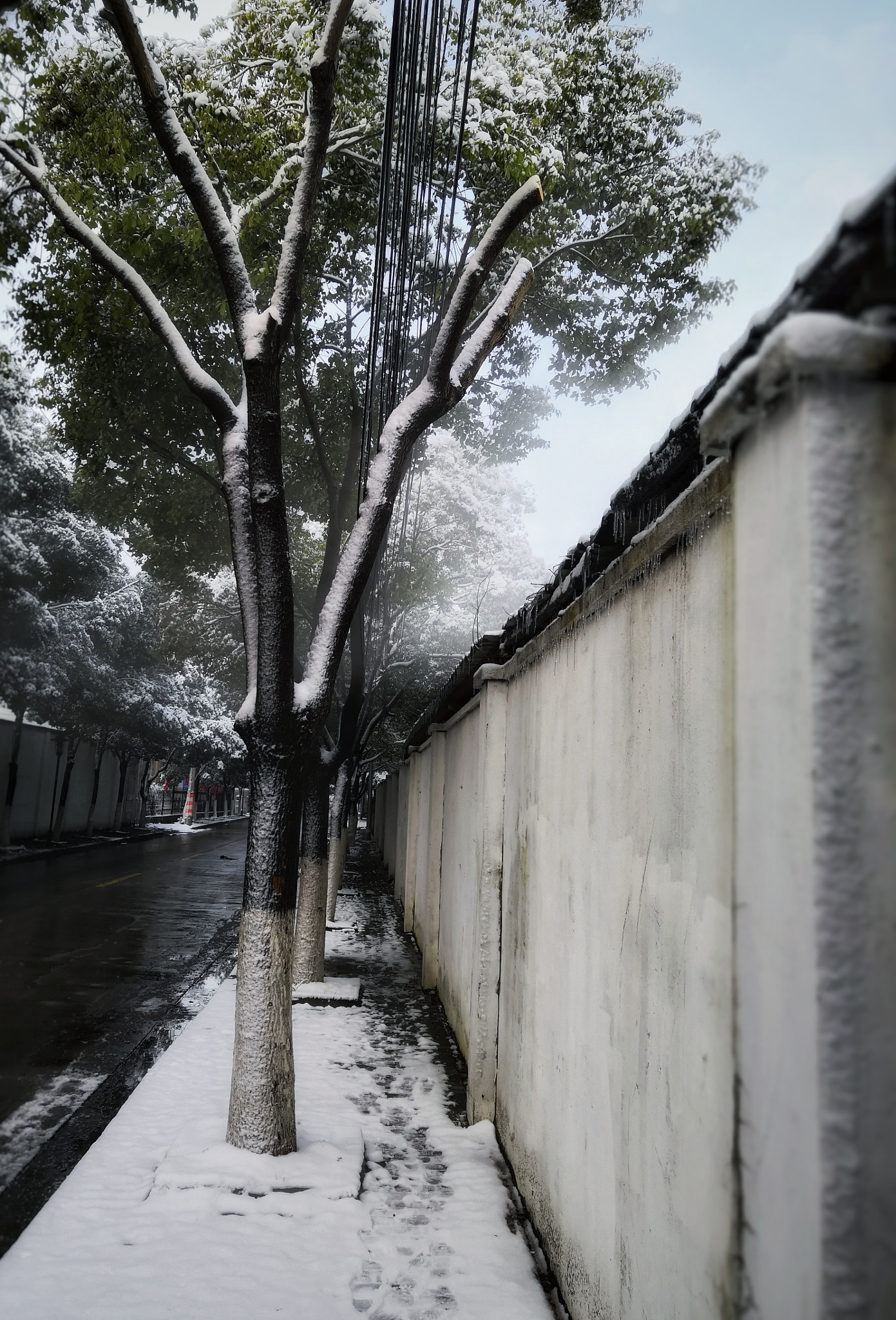 HUAWEI Honor V10 sample photo