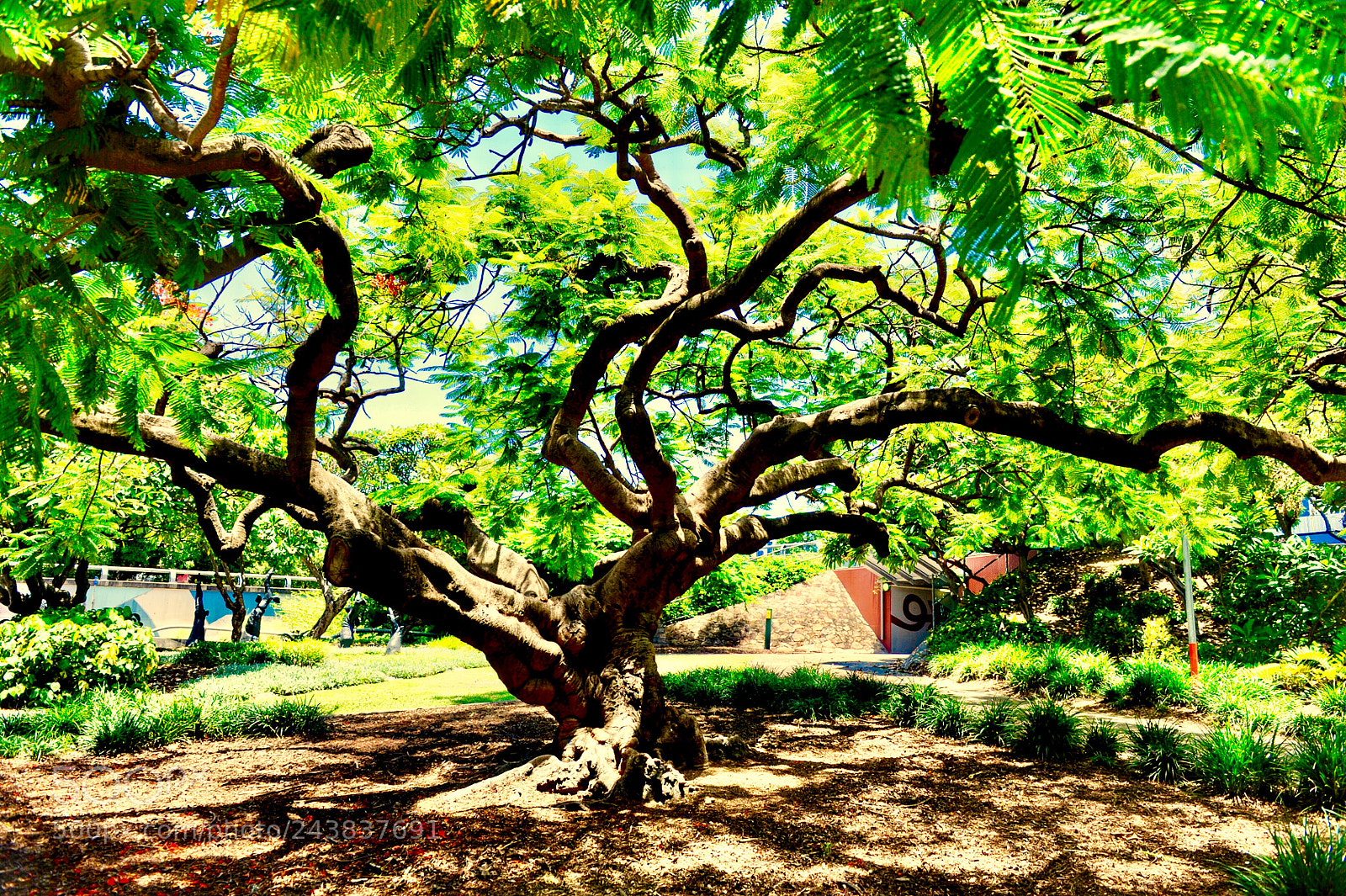 Nikon D700 sample photo. 《summer》 photography