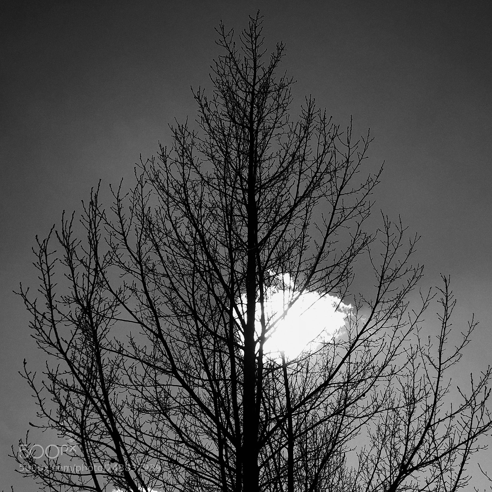 Apple iPhone X sample photo. Untitled photography