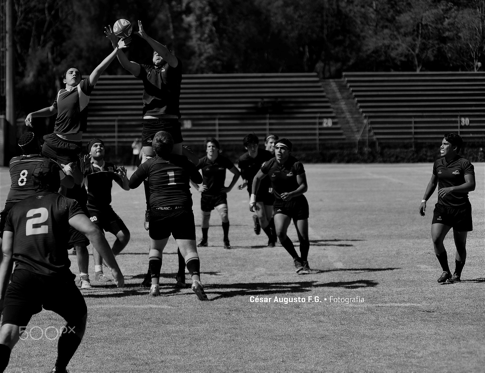 Nikon AF-Nikkor 80-200mm F2.8D ED sample photo. ¿quién la ganó? photography