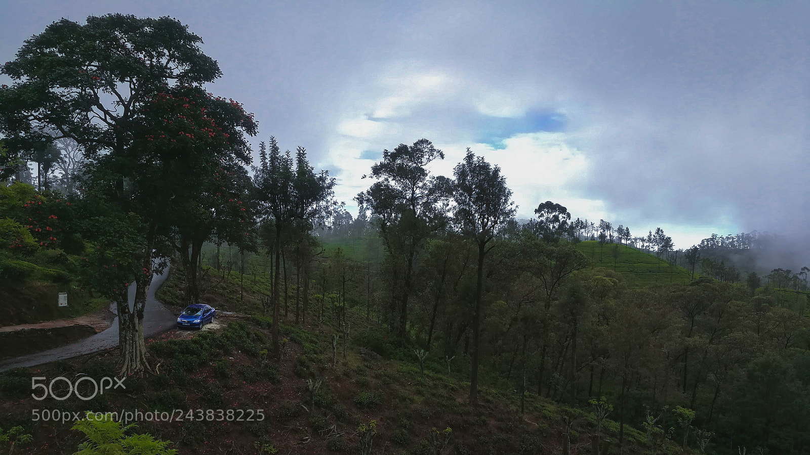 HUAWEI GR5 2017 sample photo. Taking scenic route. photography