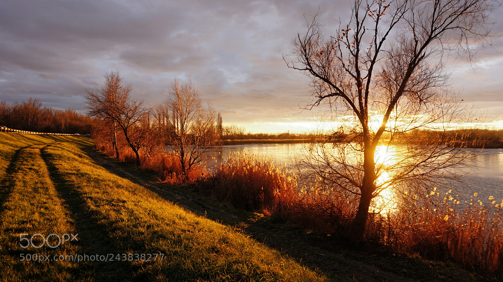 Sony Alpha a5000 (ILCE 5000) sample photo. Golden moments photography
