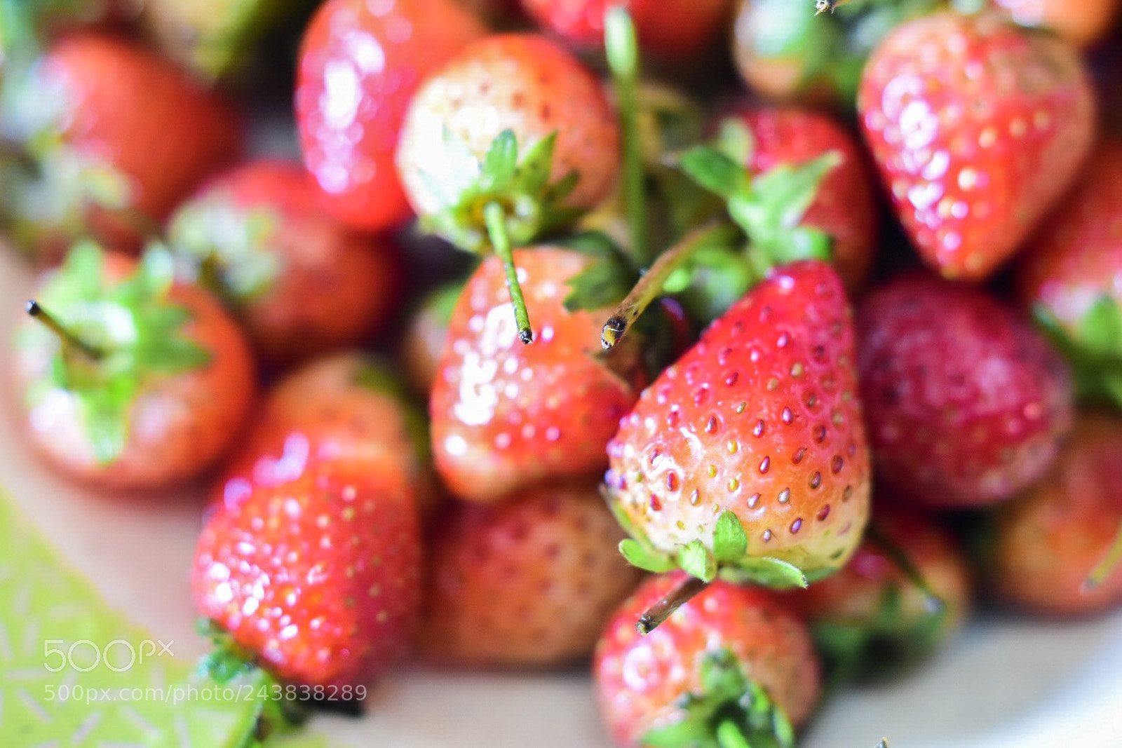Nikon D5500 sample photo. Untitled photography