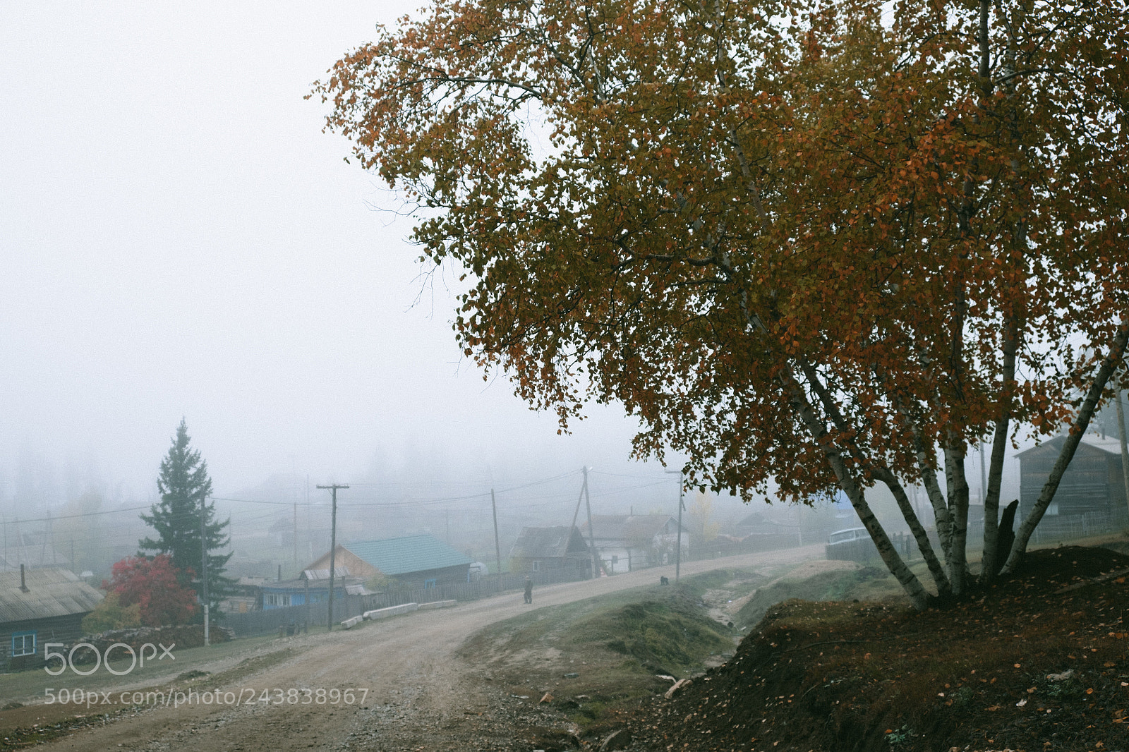 Fujifilm X-T1 sample photo. Fog in the countryside photography