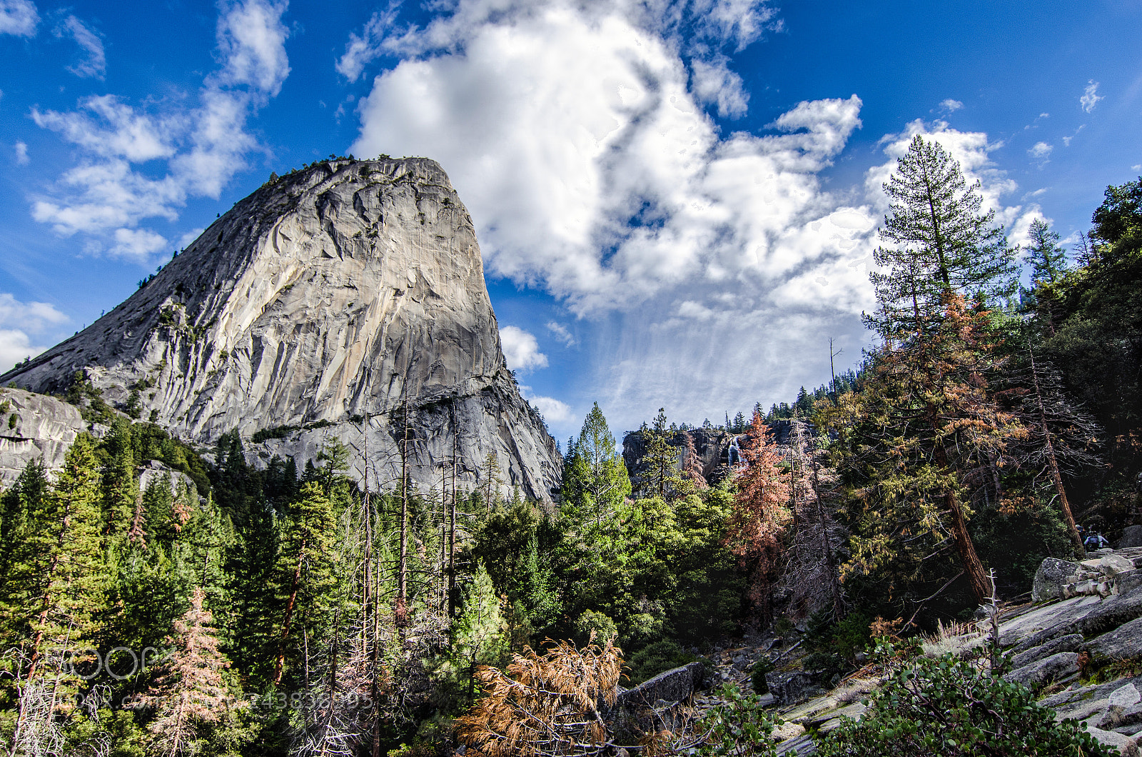 Nikon D5100 sample photo. Yosemite: near half dome photography