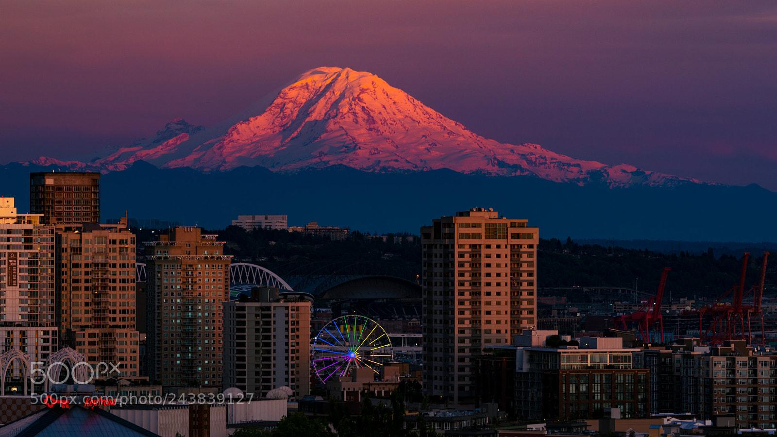 Nikon D800 sample photo. Mt. rainer, wa photography