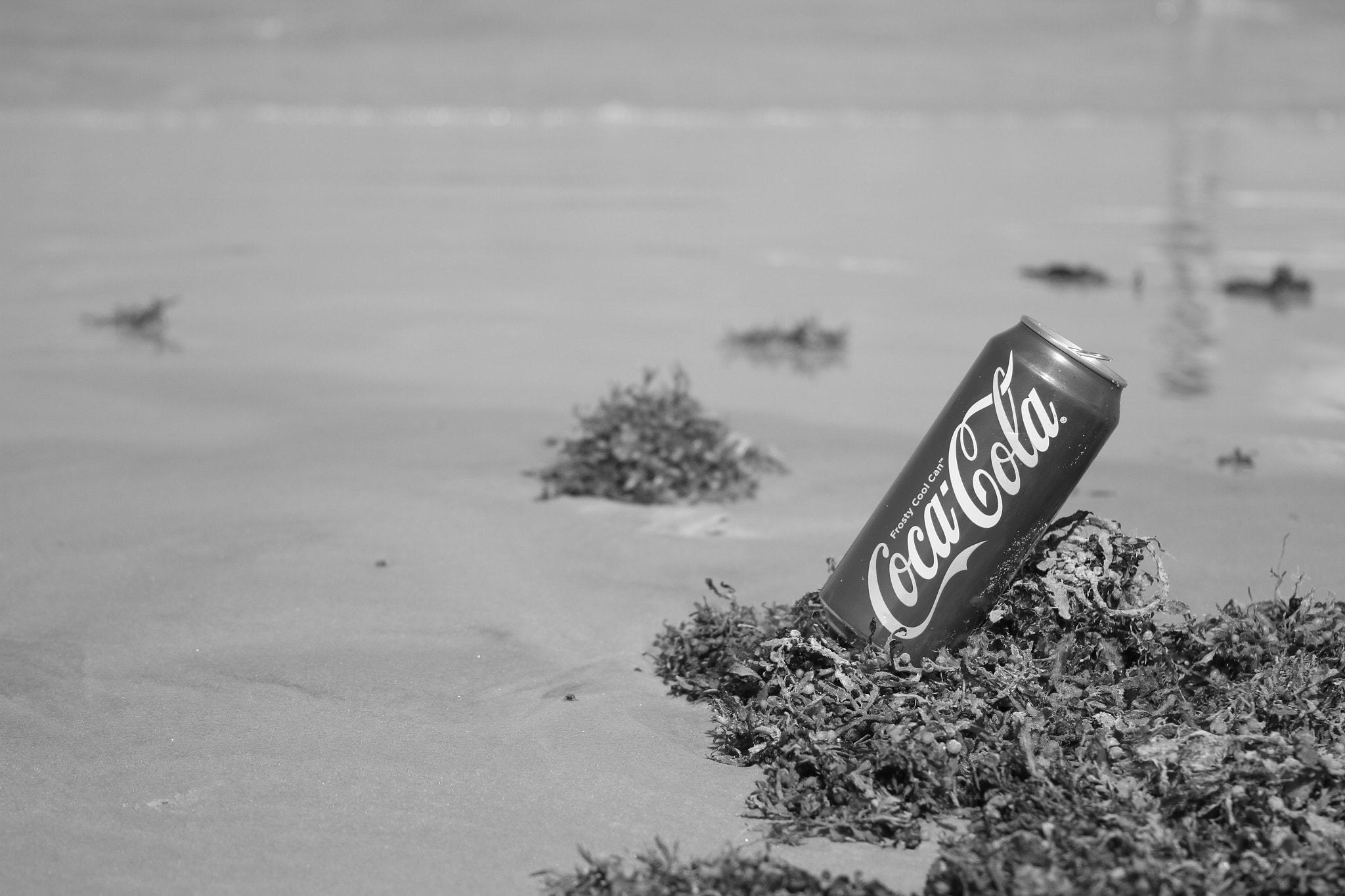 Canon EF 28-135mm F3.5-5.6 IS USM sample photo. Img photography