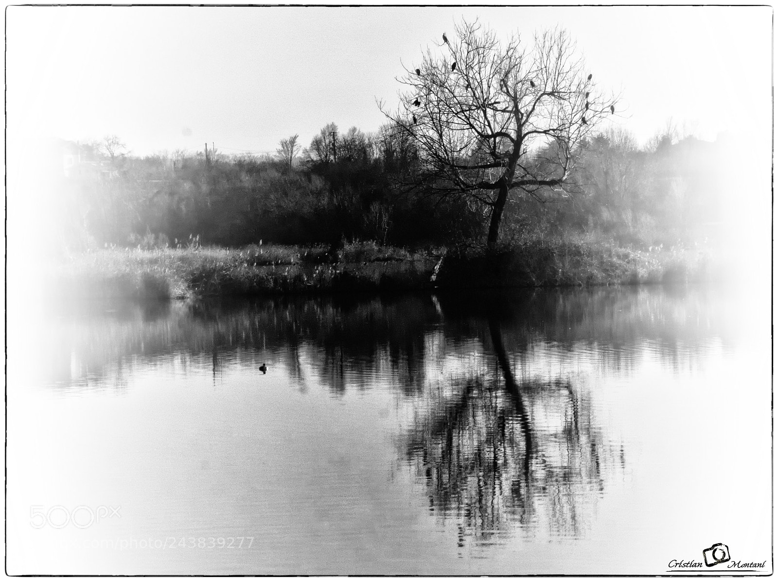 Canon EOS 1300D (EOS Rebel T6 / EOS Kiss X80) sample photo. B&w winter reflection photography