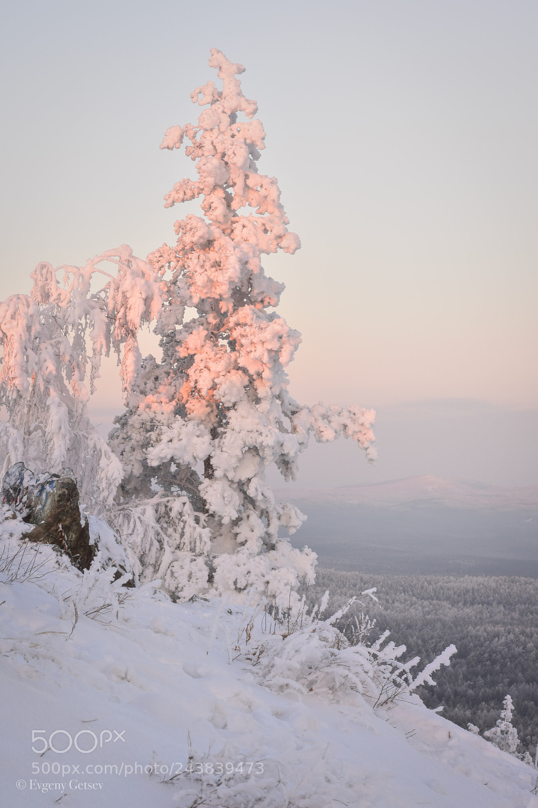 Nikon D3400 sample photo. Cool winter photography