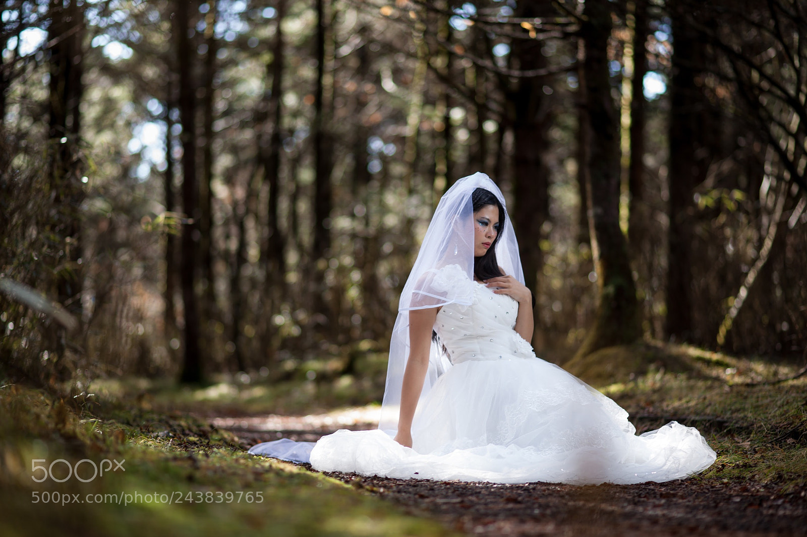Canon EOS 5D Mark II sample photo. 『 forest of the bride 』 photography