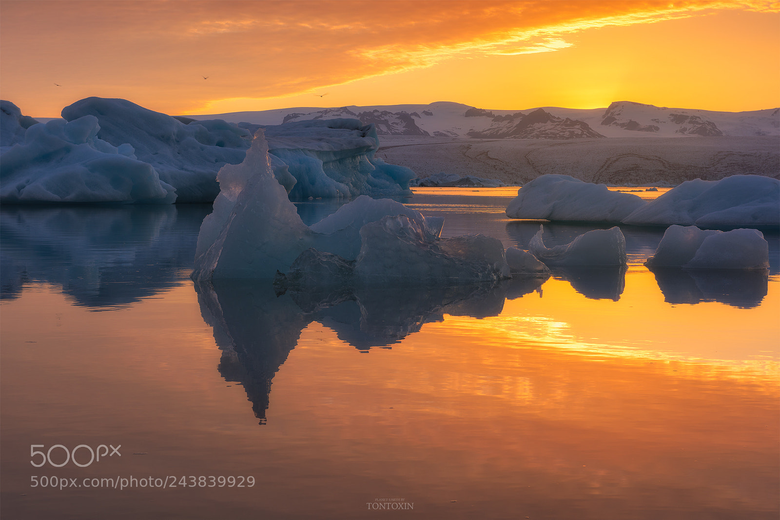 Nikon D810 sample photo. Realm of frost photography