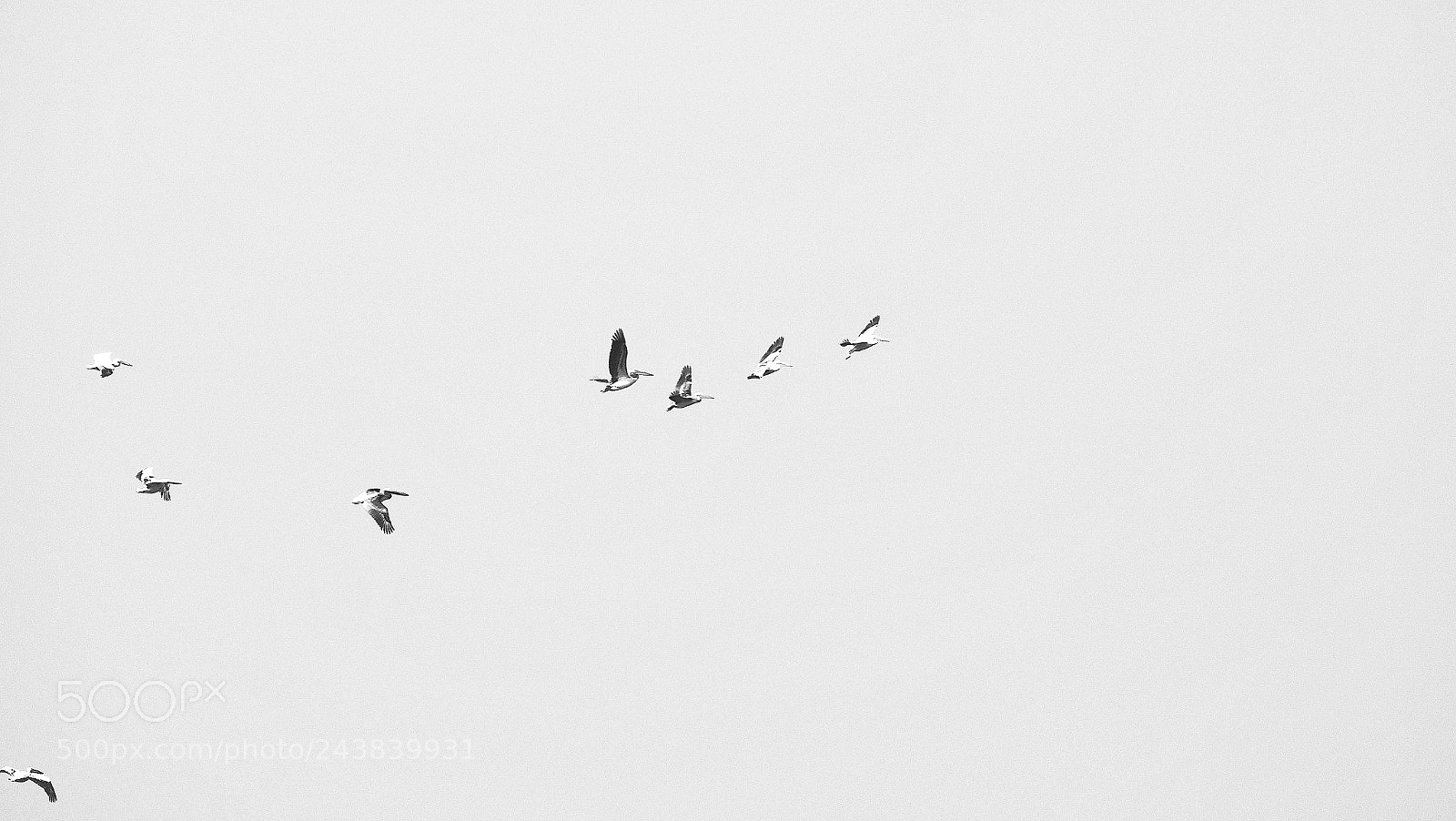 Olympus PEN-F sample photo. 高飞 photography