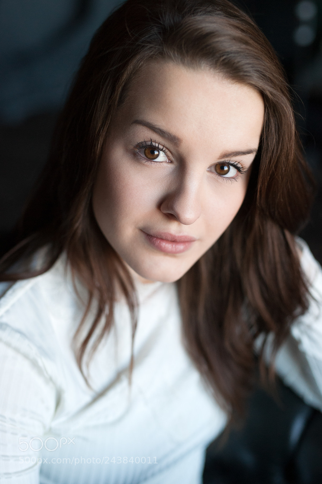 Sony Alpha DSLR-A900 sample photo. Rehaugen photography